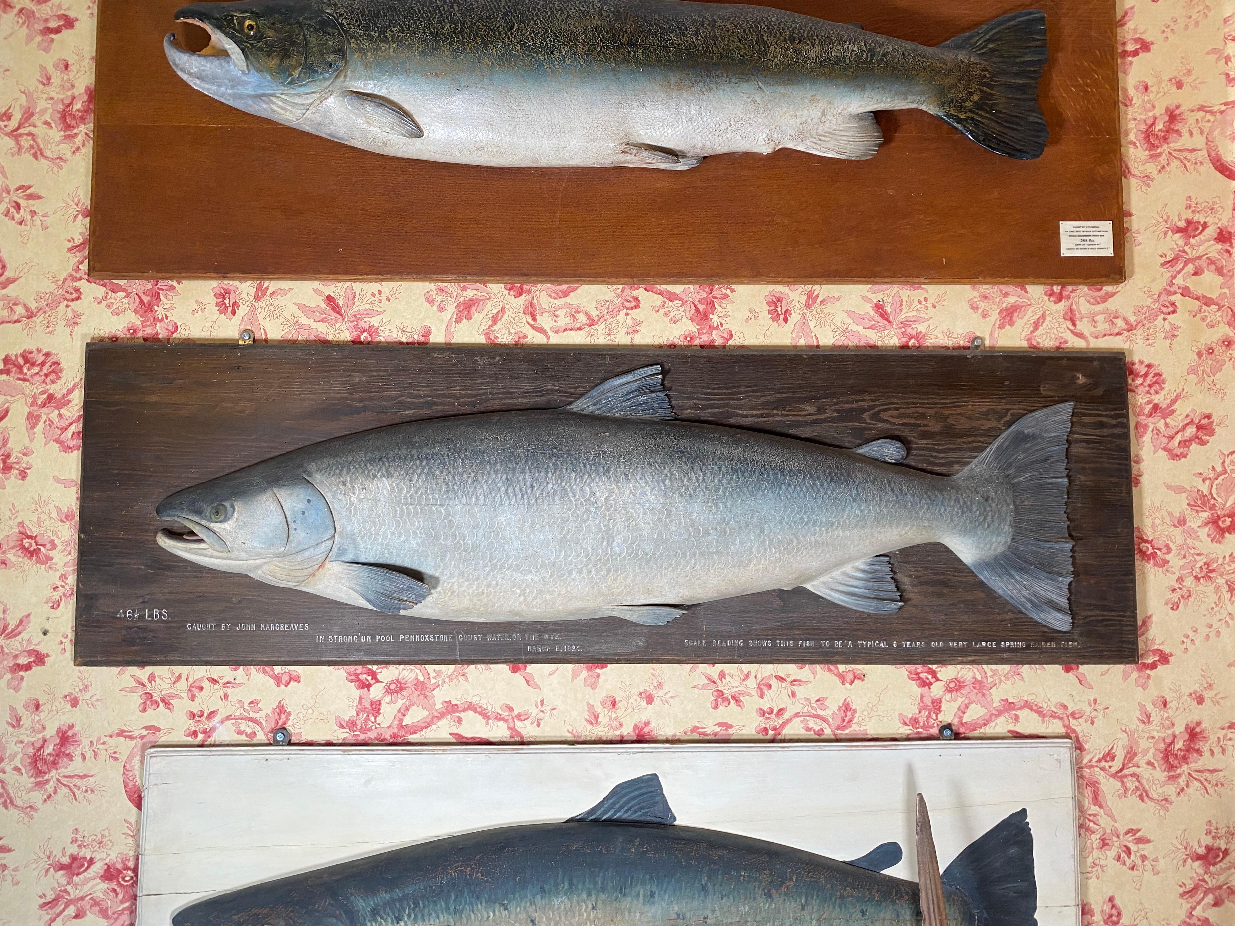 Scottish Rare and Outstanding Carved 46lb Atlantic Salmon by John Tully Fochaber Studio