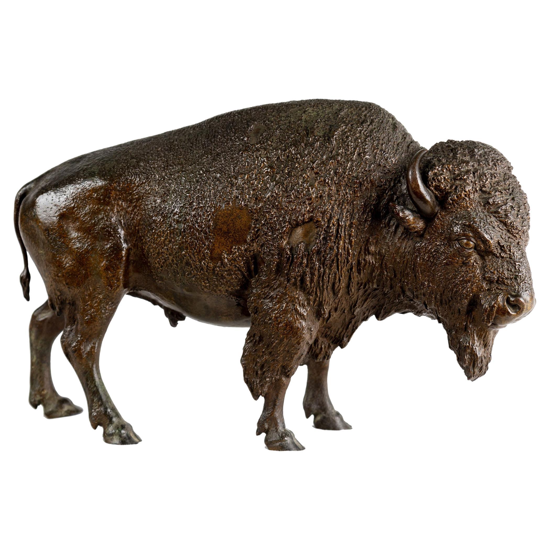 A Rare And Remarkable Bronze American Bison, Circa 1885 By Franz Bergmann For Sale
