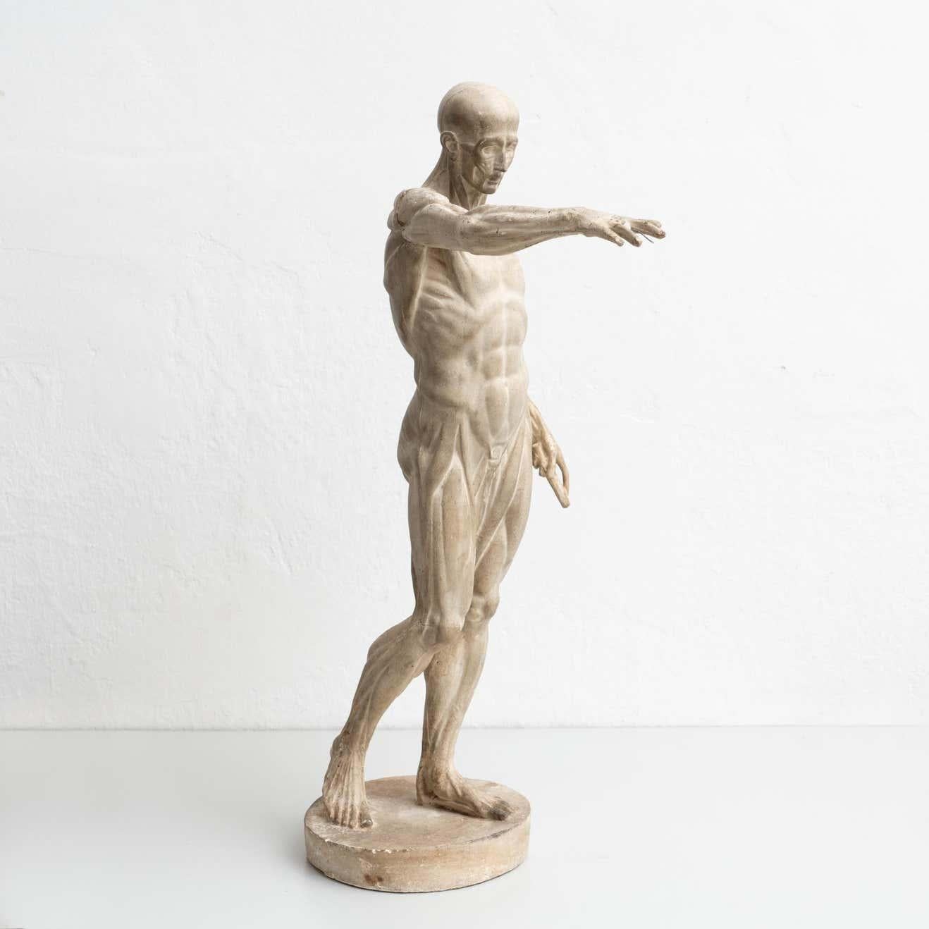 If you're a collector of art and design searching for exclusive, one-of-a-kind pieces, this human anatomy sculpture is perfect for you.

This exceptional early plaster sculpture represents a man's body and was created in Spain circa 1930. It comes
