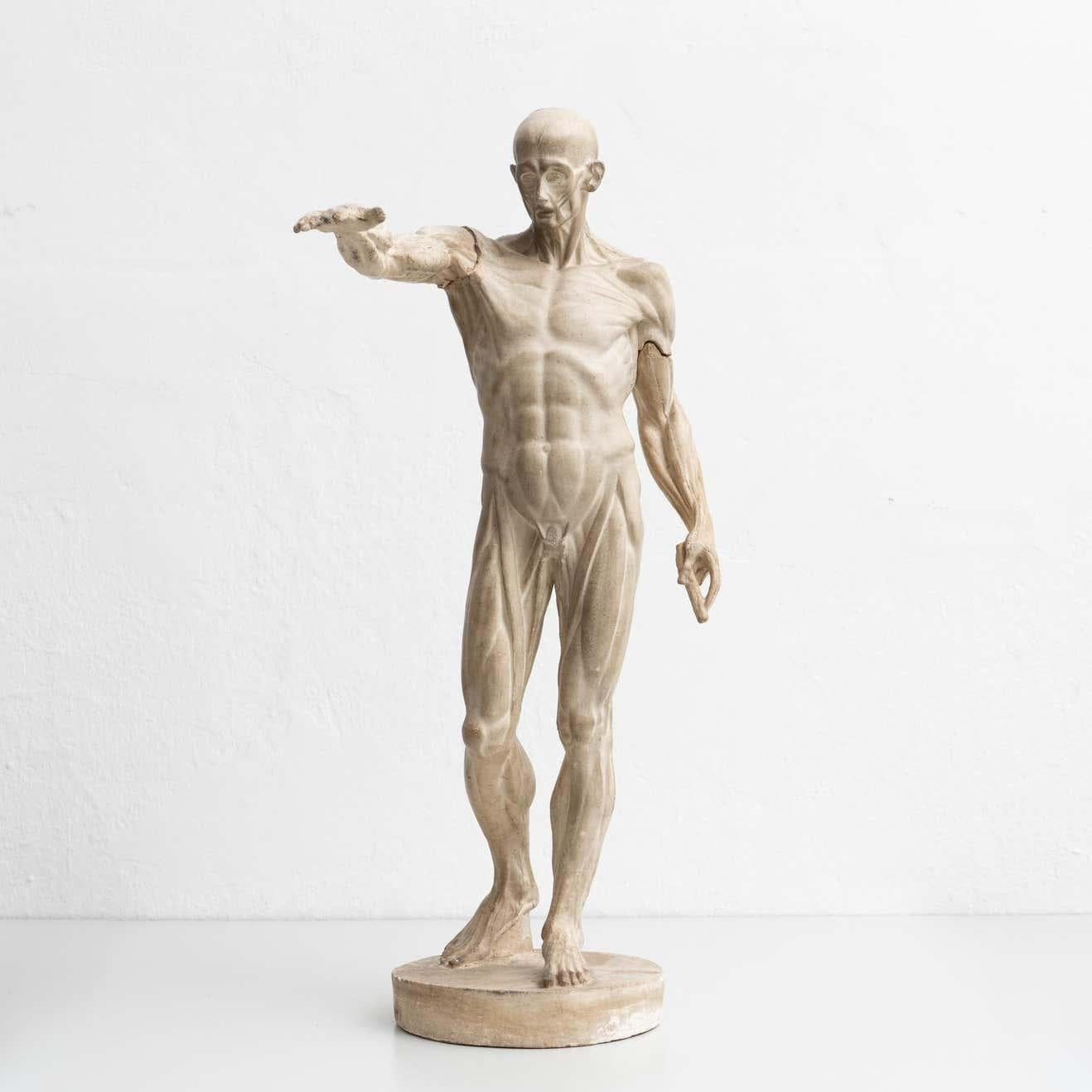 sculpture anatomy