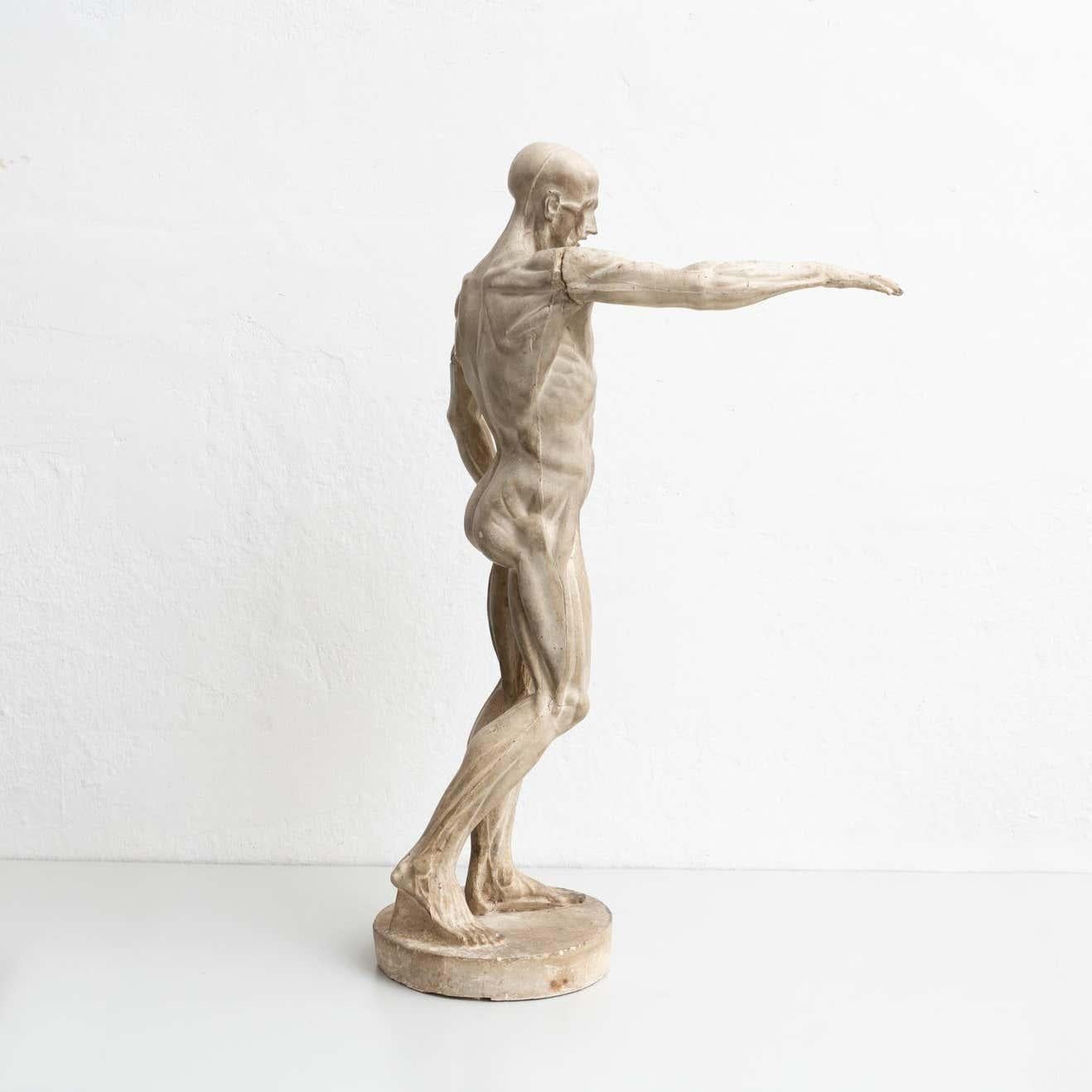 anatomy for sculptors