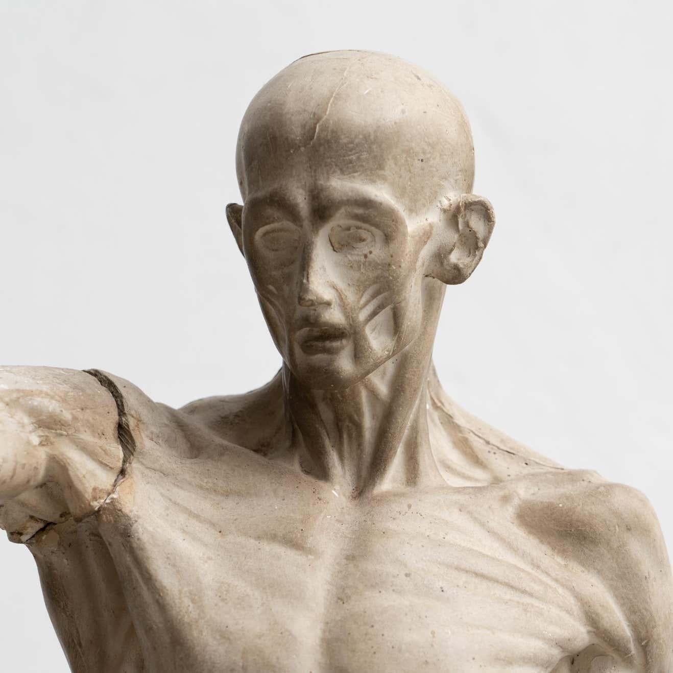 Spanish Rare Find, an Early Plaster Human Anatomy Sculpture of a Man, circa 1930
