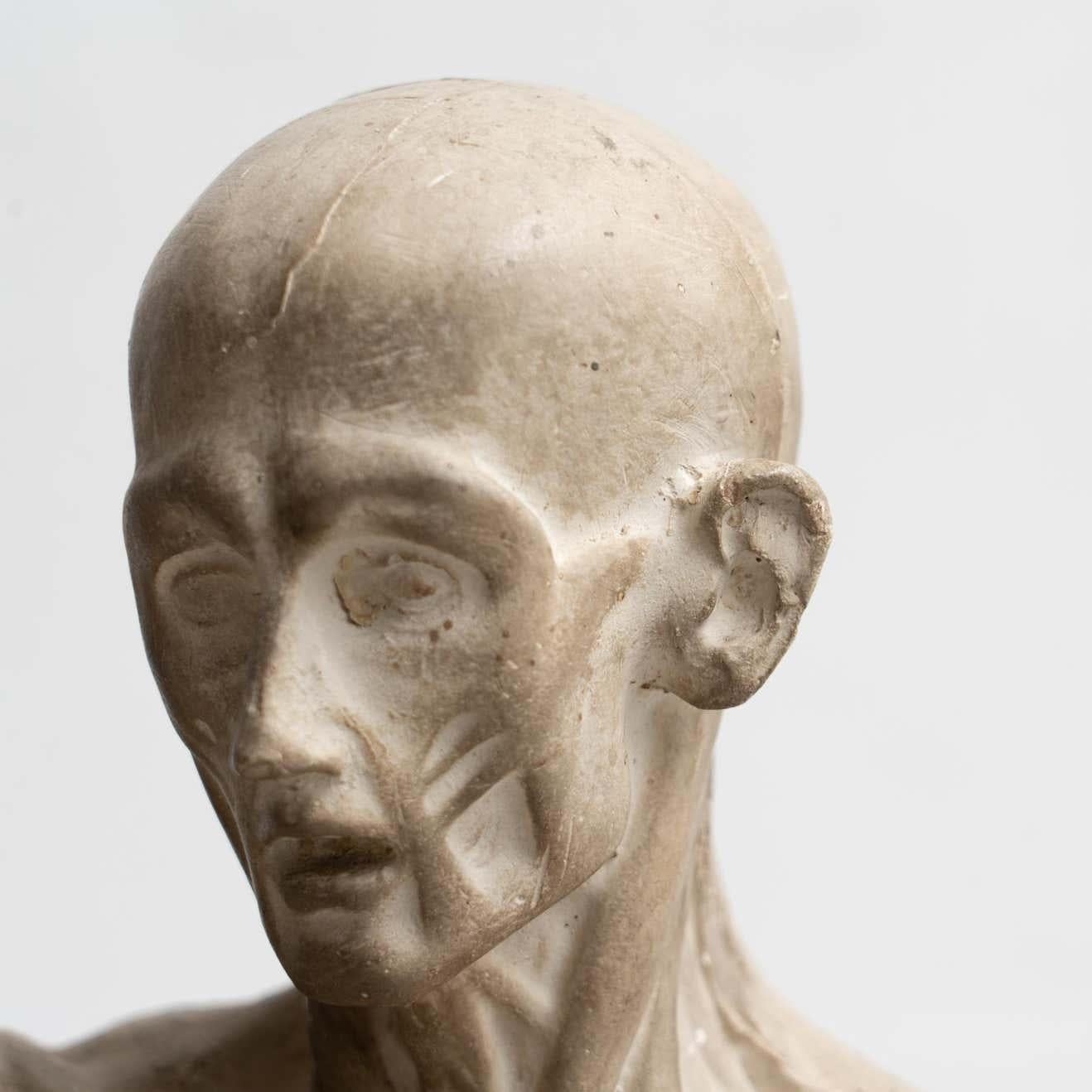 Rare Find, an Early Plaster Human Anatomy Sculpture of a Man, circa 1930 In Good Condition In Barcelona, Barcelona