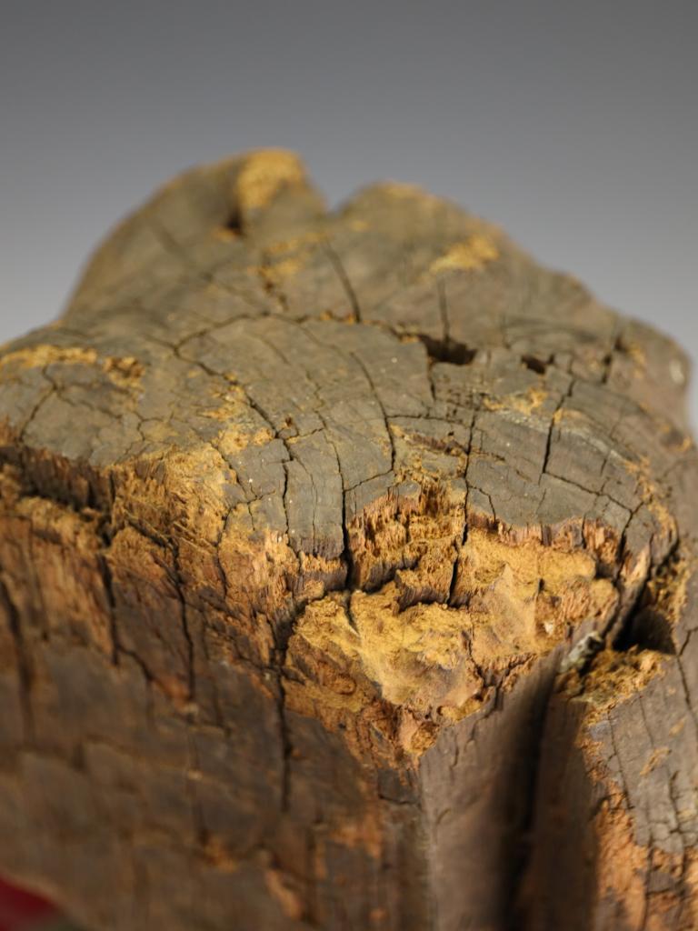 A Rare French Carved Architectural Fragment: Baroque Putto Head from Rouen Cathe For Sale 2