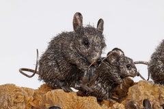 Seltene Mario Buccellati Sterlingsilber Pelz-Mice-Suite auf Wüsten-Rosenkristall