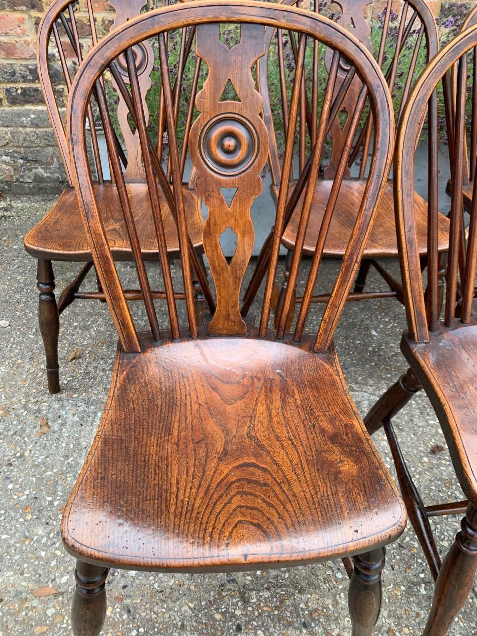 Country Rare Matched Set of Sixteen 19th Century Windsor Draught Back Chairs