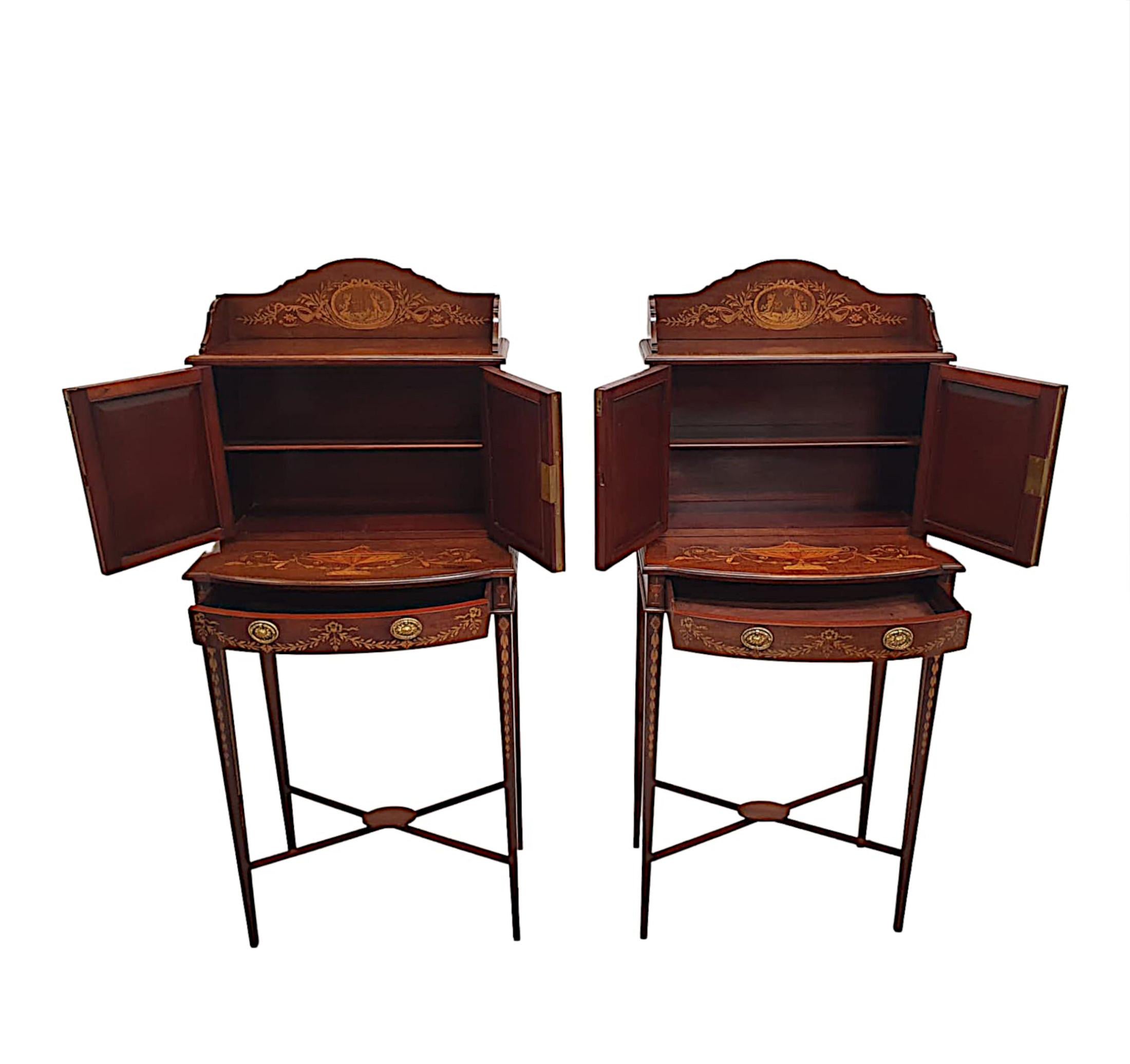  A Rare Pair of Exceptional Edwardian Cabinets Attributed to Edward and Roberts In Good Condition For Sale In Dublin, IE