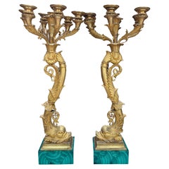 A Rare Pair of French 19 Century Gilt Bronze Dolphin Candelabra