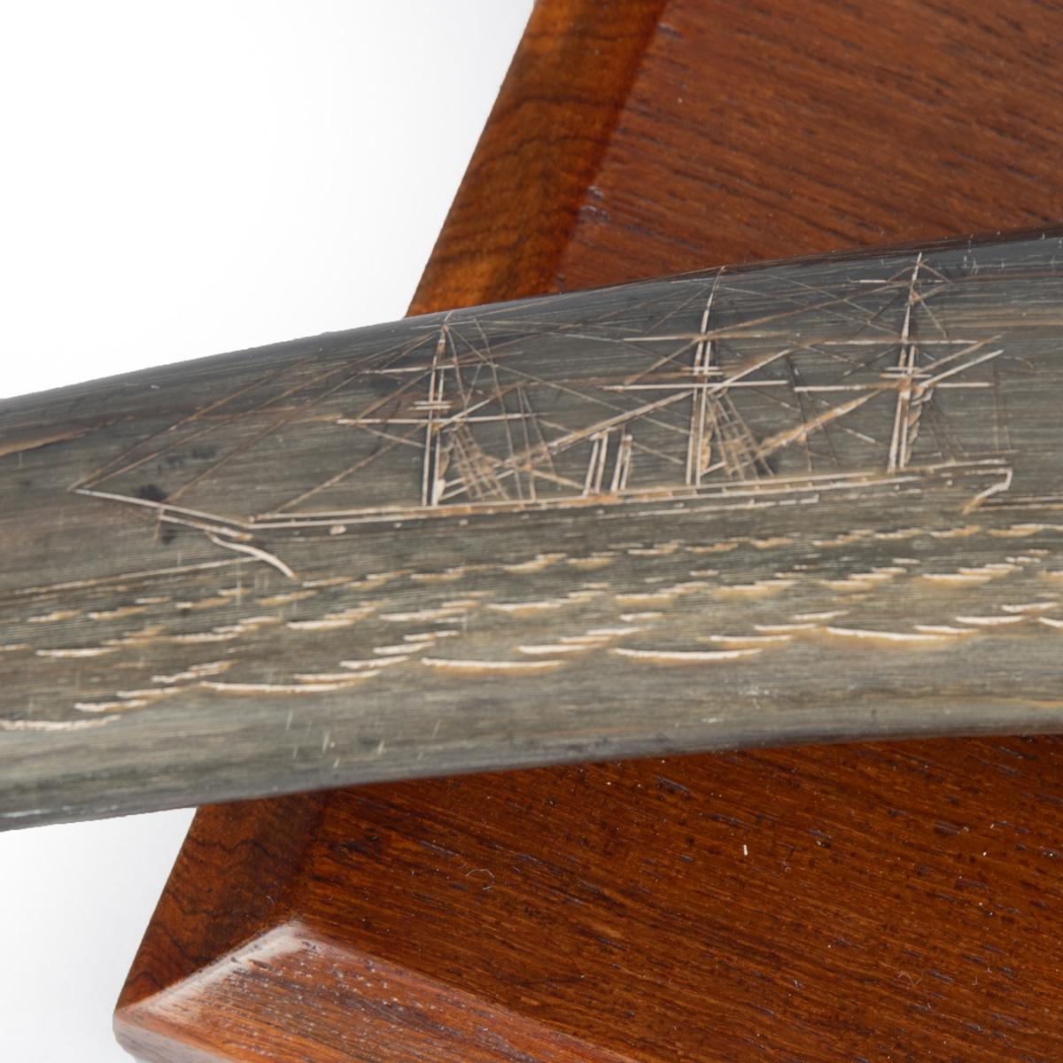 Un raro corno decorato con scrimshaw attribuito a C.H. A. C. Legno in vendita 2