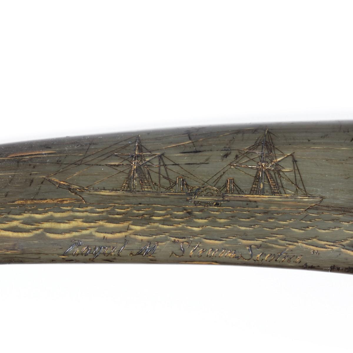 Rare Scrimshaw Decorated Horn For Sale 1