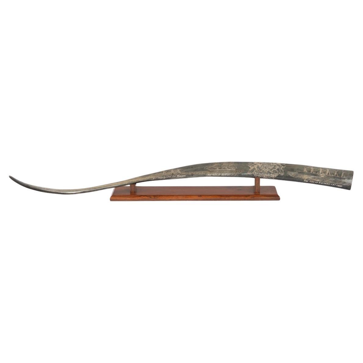 Raro corno decorato Scrimshaw