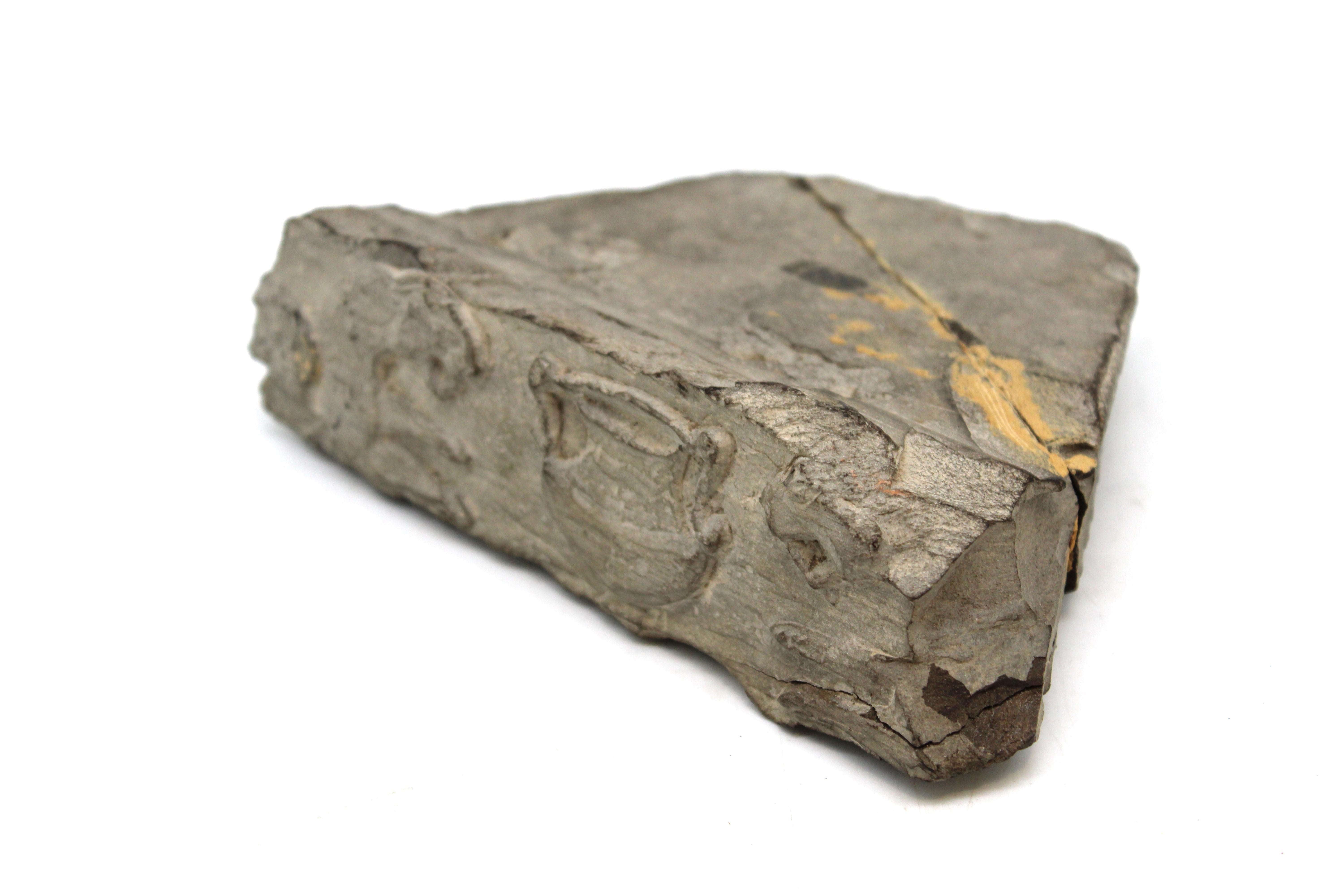 Hand-Carved A Rare Second Temple Period Limestone Table Fragment, Jerusalem, 1st Century BCE For Sale
