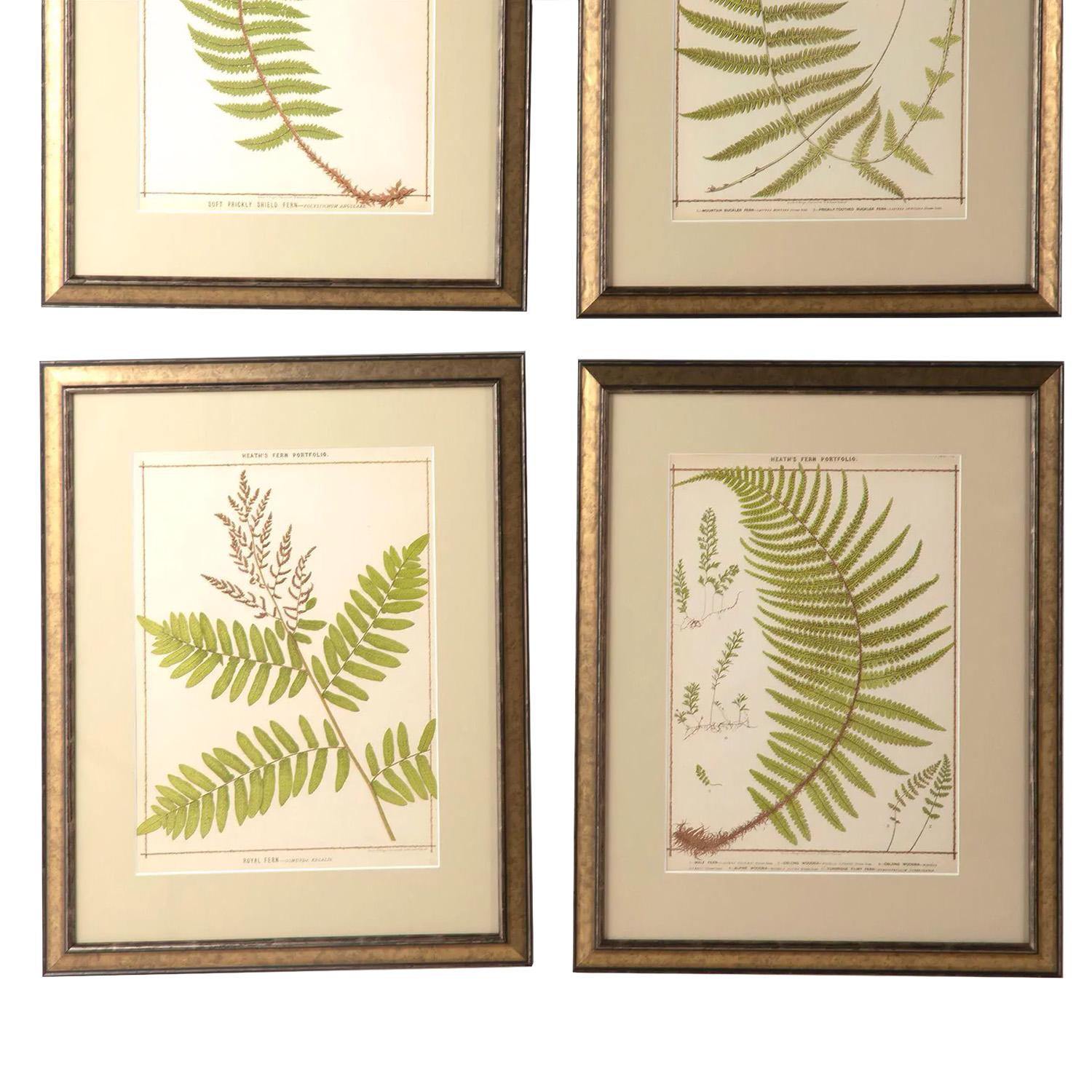 Rare Set of 12 British Fern Chromolithographs by Francis George Heath In Good Condition In Tetbury, Gloucestershire