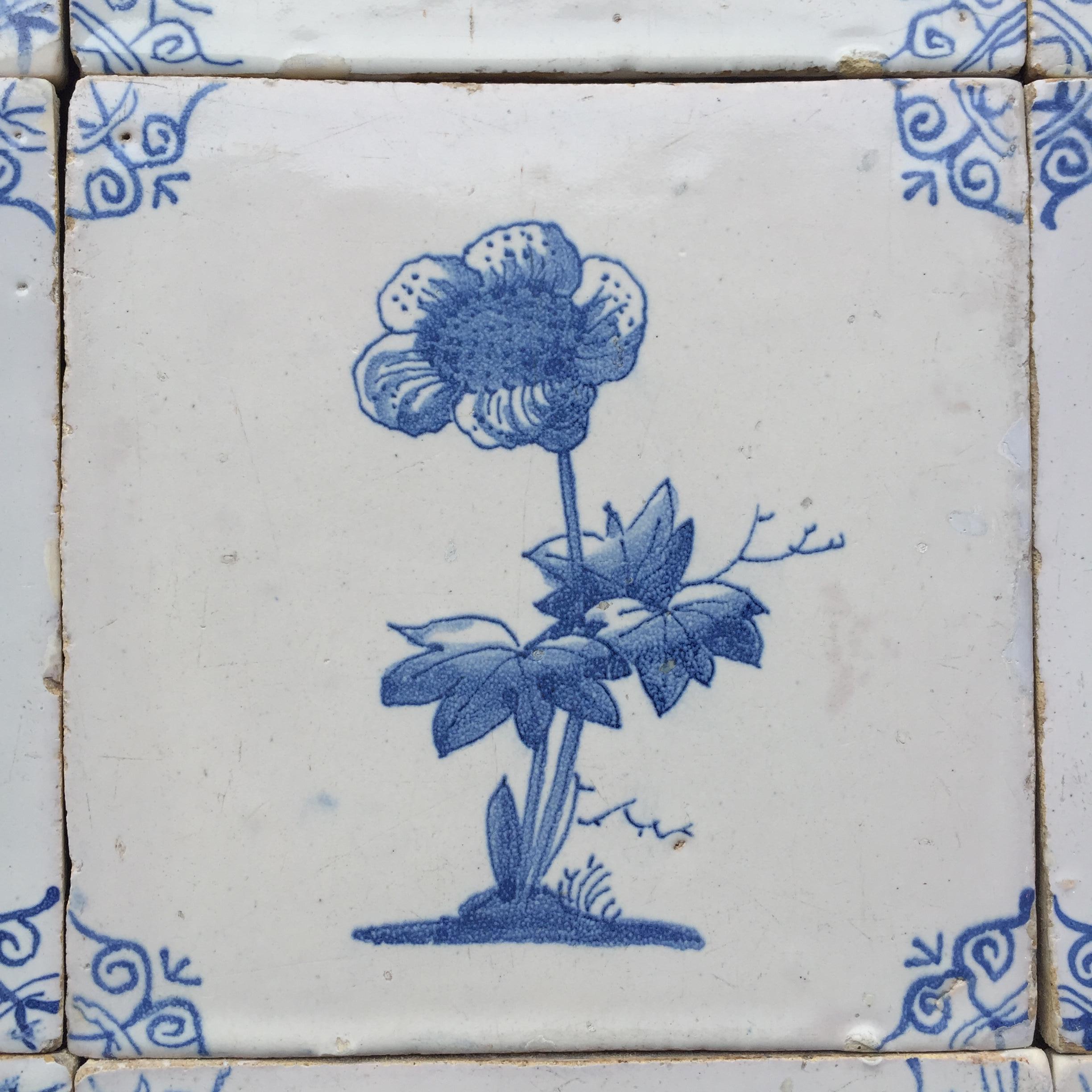 Rare Set of 12 Dutch Delft Tiles with Flowers and Insects, 17th Century 4