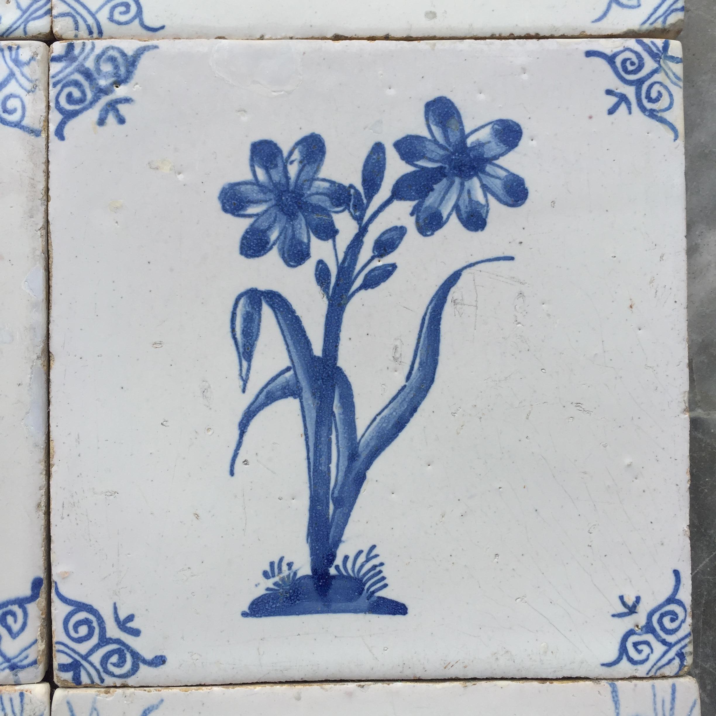 Rare Set of 12 Dutch Delft Tiles with Flowers and Insects, 17th Century 5