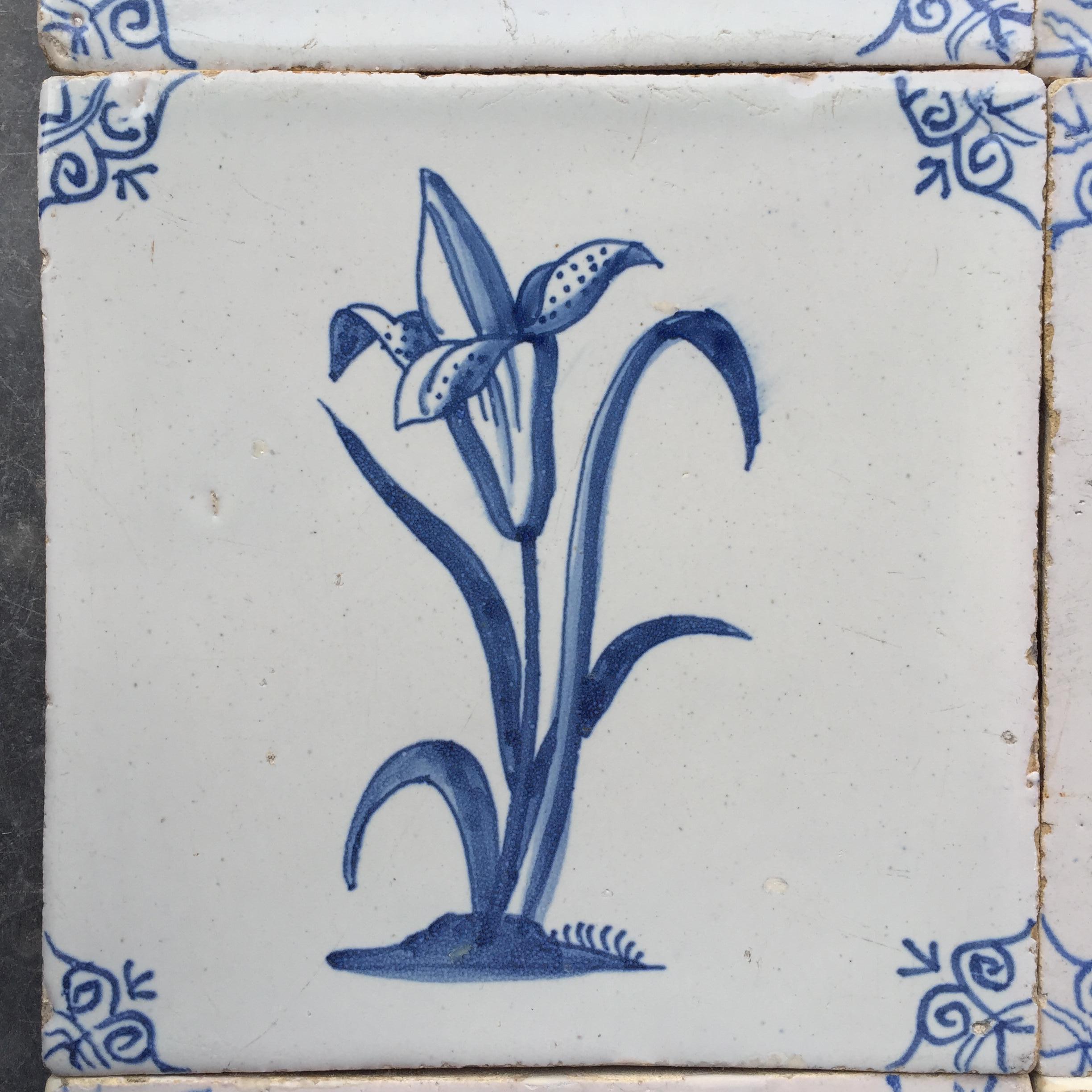 Rare Set of 12 Dutch Delft Tiles with Flowers and Insects, 17th Century 6