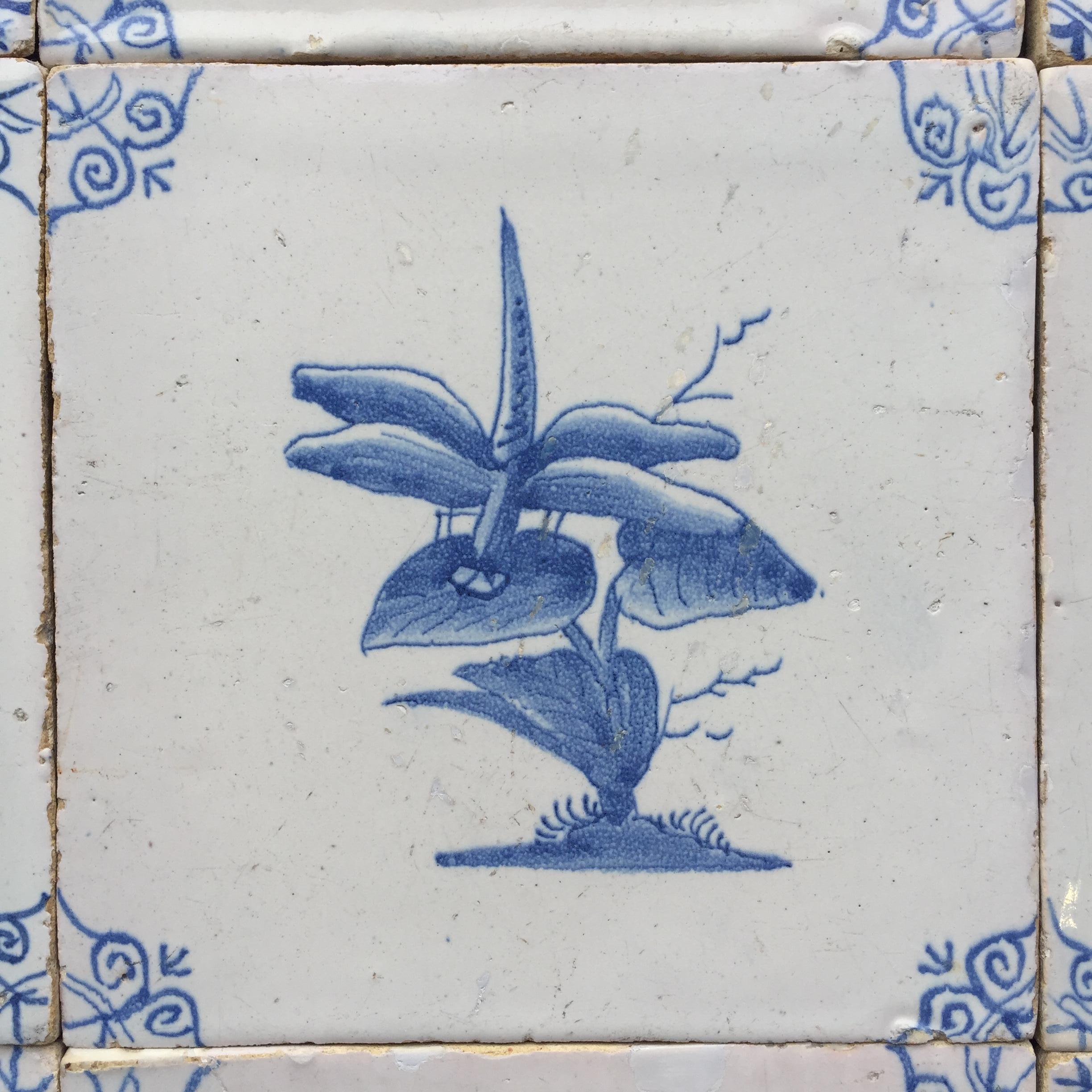 Rare Set of 12 Dutch Delft Tiles with Flowers and Insects, 17th Century 7