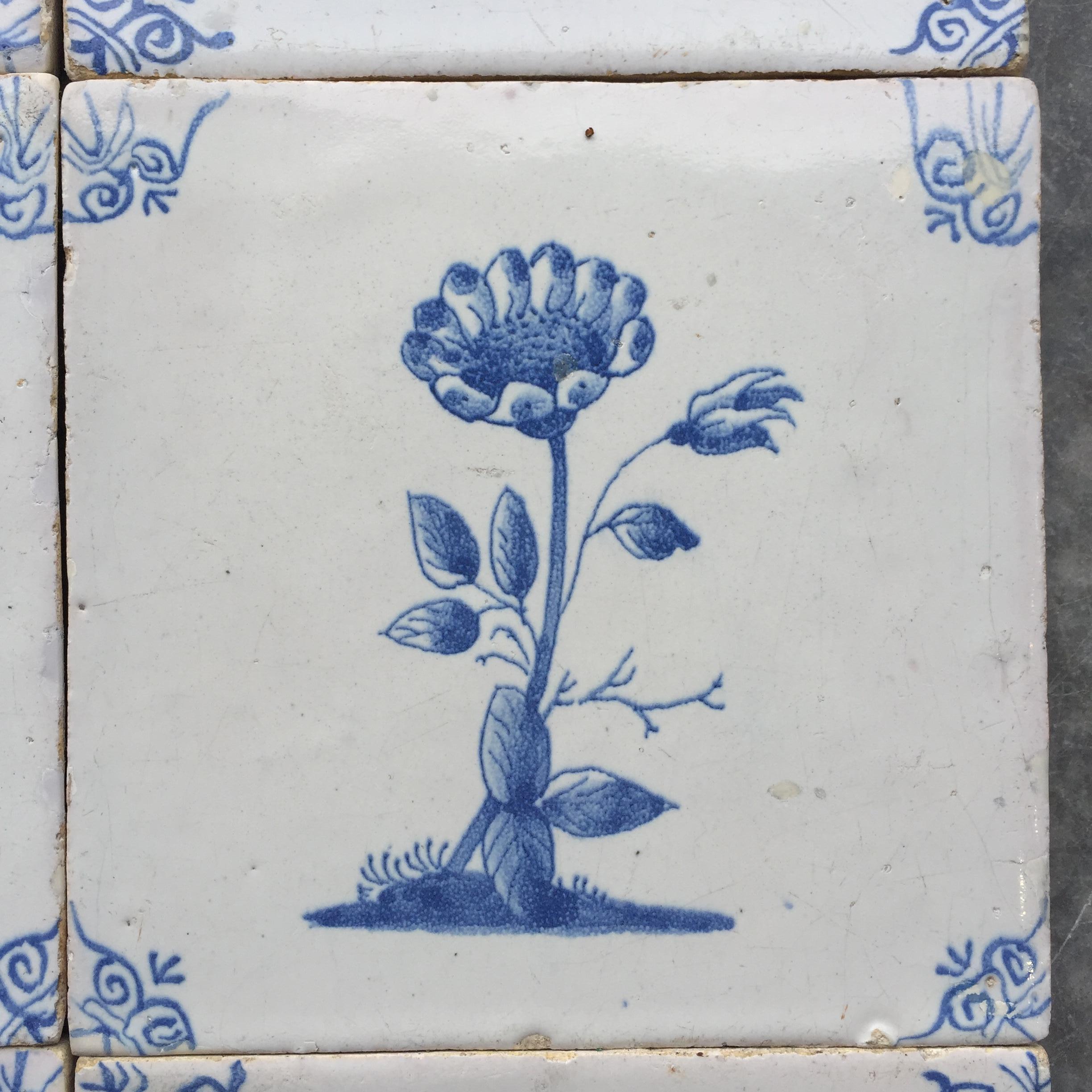 Rare Set of 12 Dutch Delft Tiles with Flowers and Insects, 17th Century 8