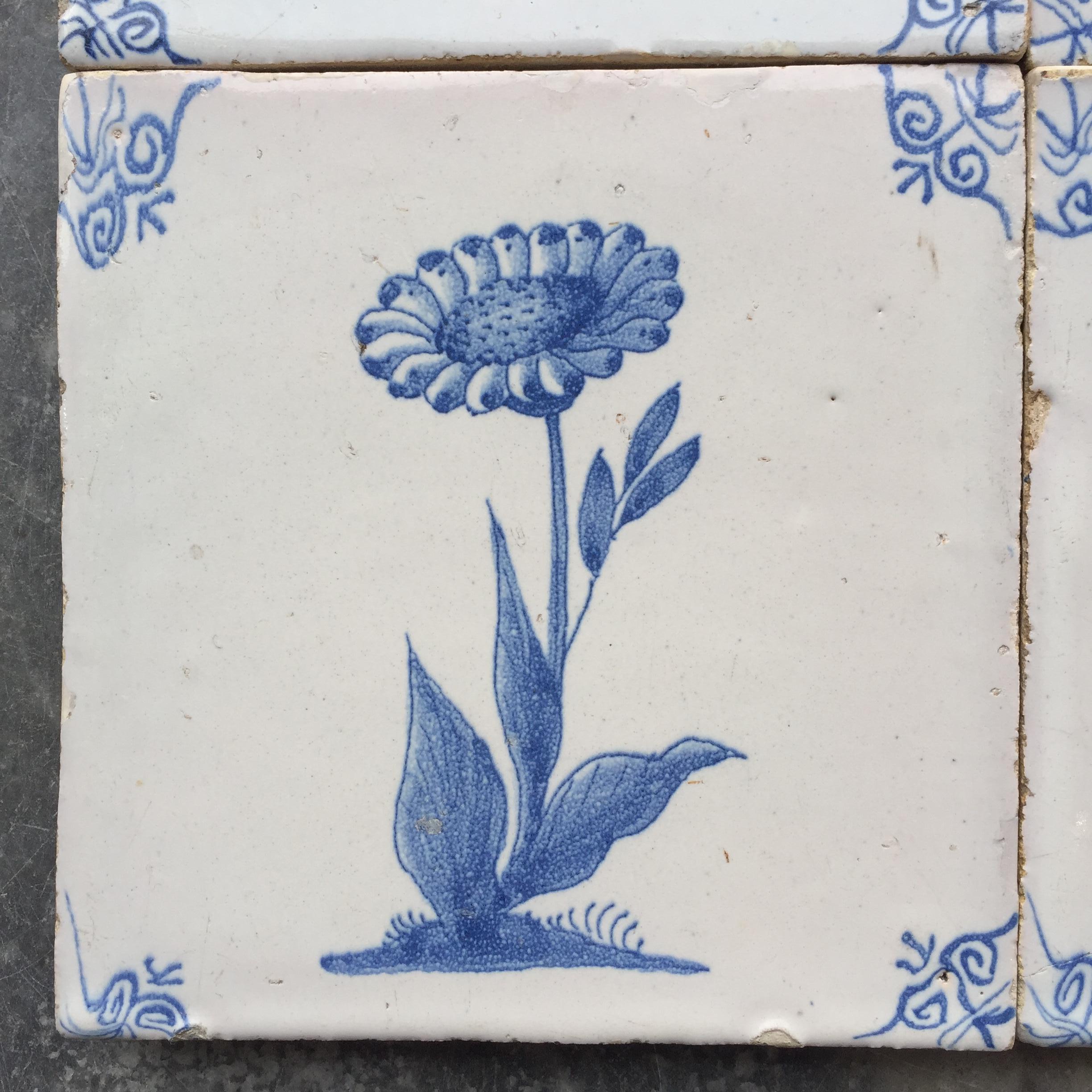Rare Set of 12 Dutch Delft Tiles with Flowers and Insects, 17th Century 9