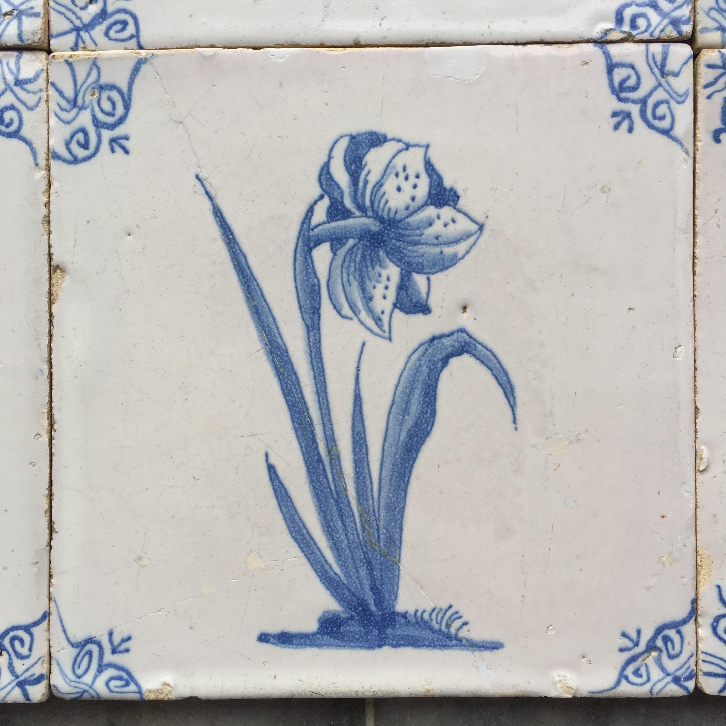 Rare Set of 12 Dutch Delft Tiles with Flowers and Insects, 17th Century 10