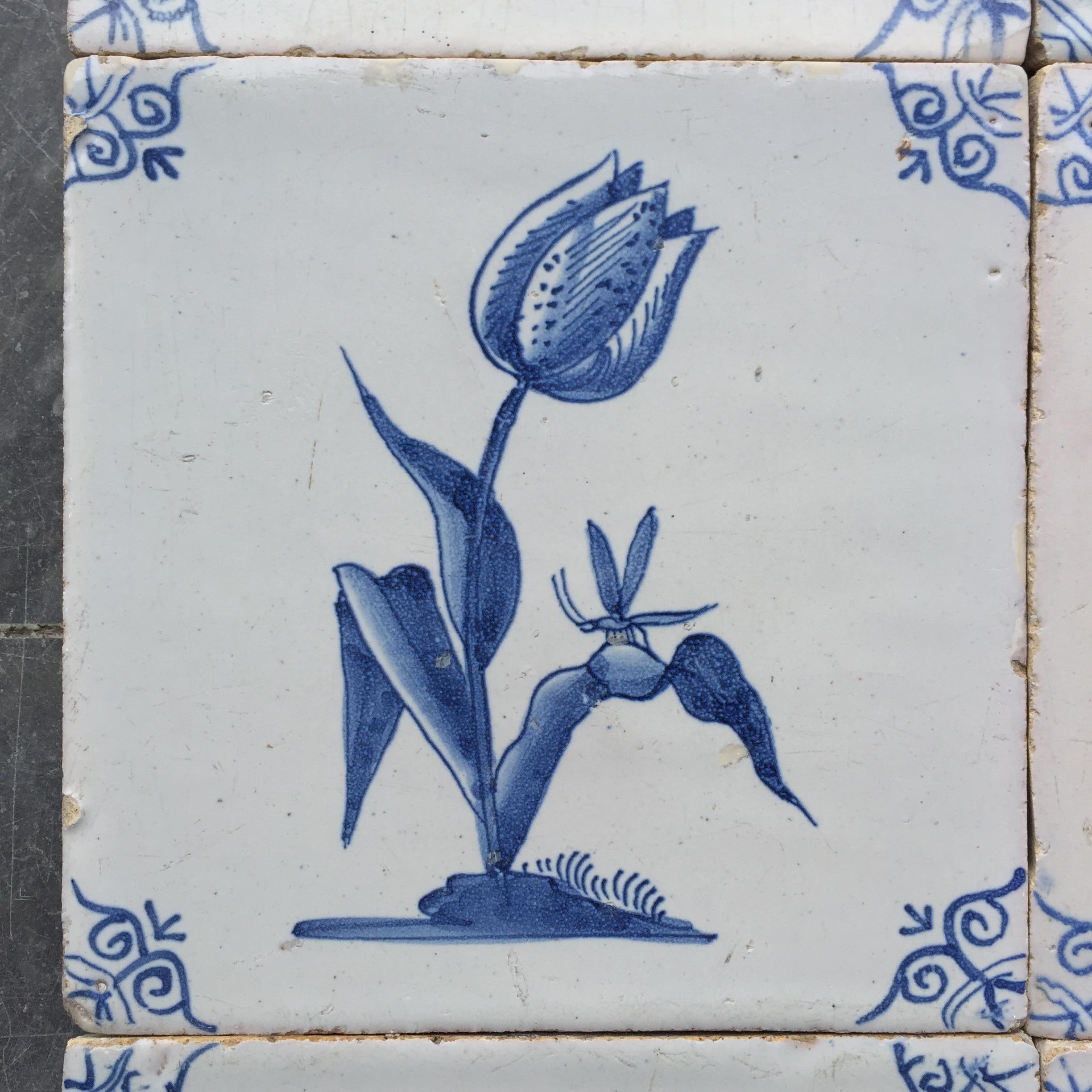 Rare Set of 12 Dutch Delft Tiles with Flowers and Insects, 17th Century 3