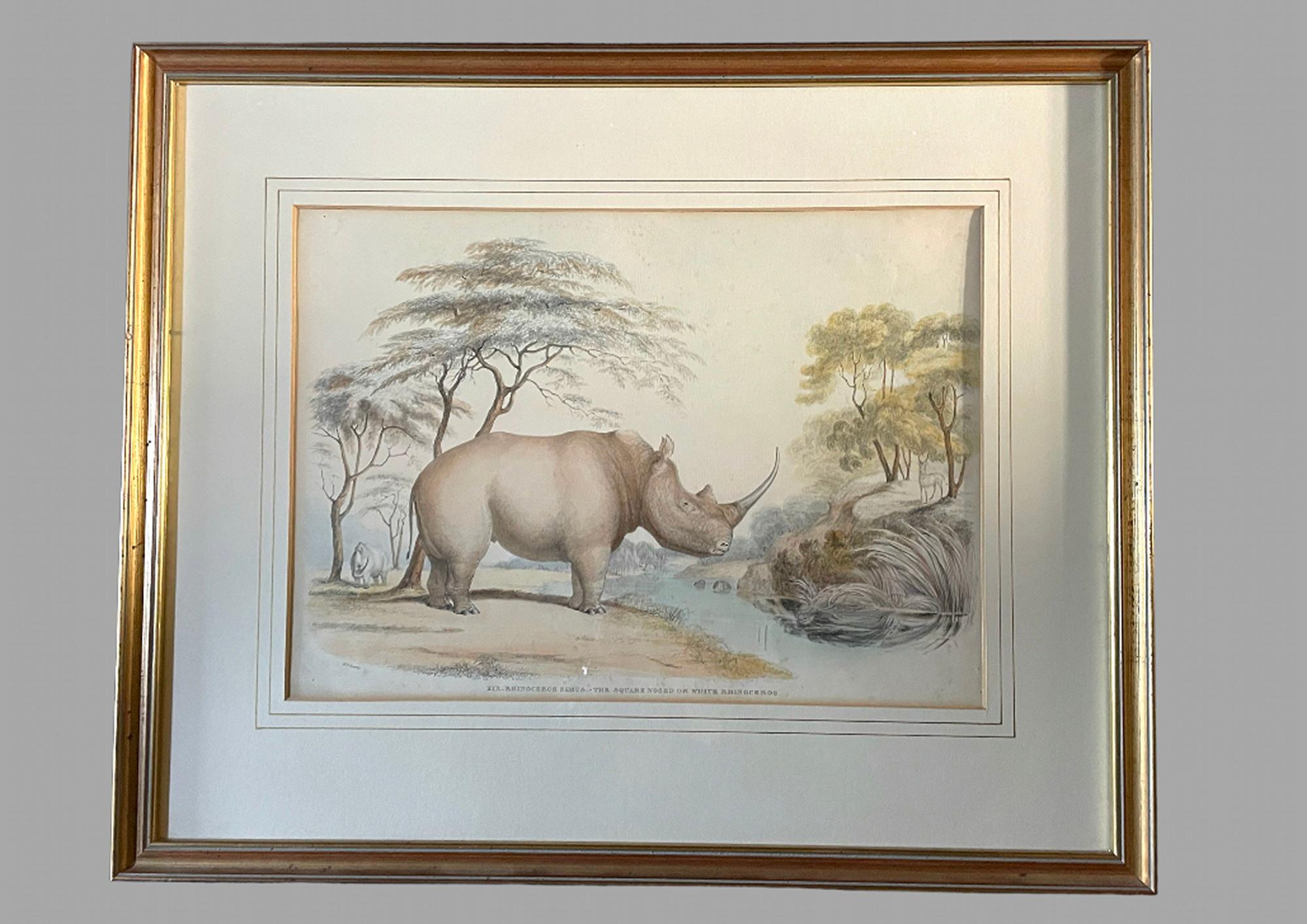 Victorian Rare Set of 24 Framed Lithographs of Game and Wild Animals