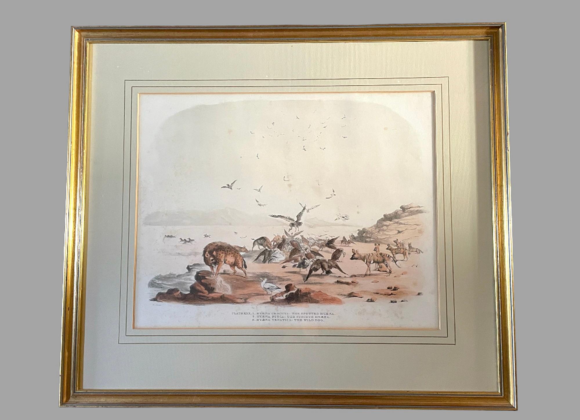 Rare Set of 24 Framed Lithographs of Game and Wild Animals In Good Condition In Pewsey, GB