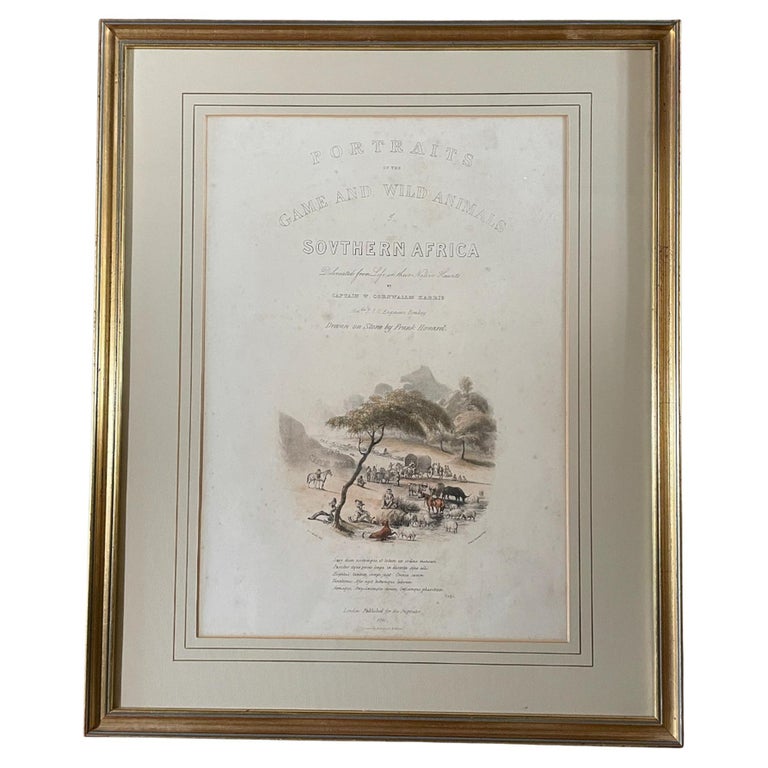 Rare Set of 24 Framed Lithographs of Game and Wild Animals For Sale at