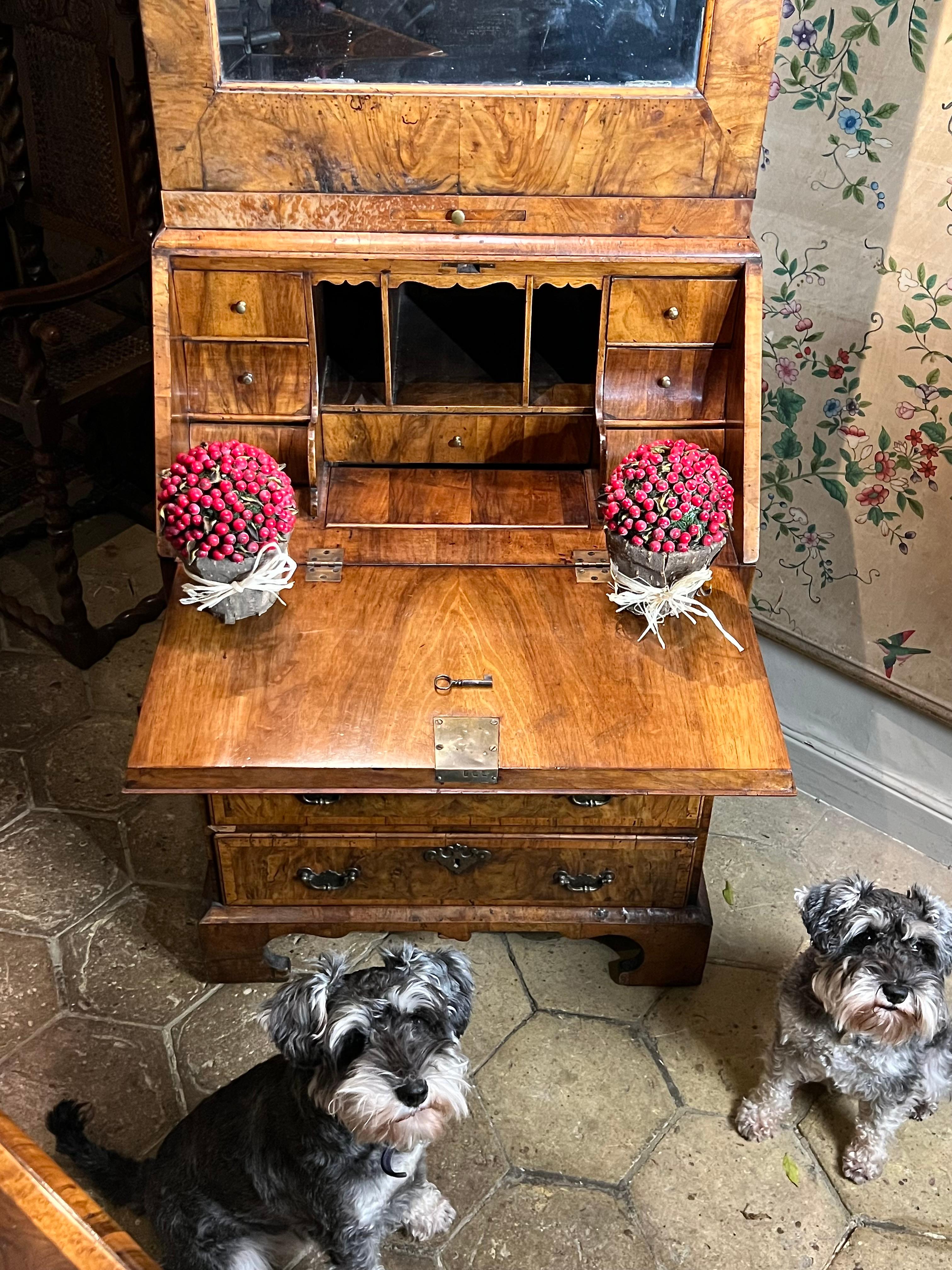 A rare small early-18th century walnut bureau bookcase/ cabinet In Good Condition For Sale In Lymington, GB