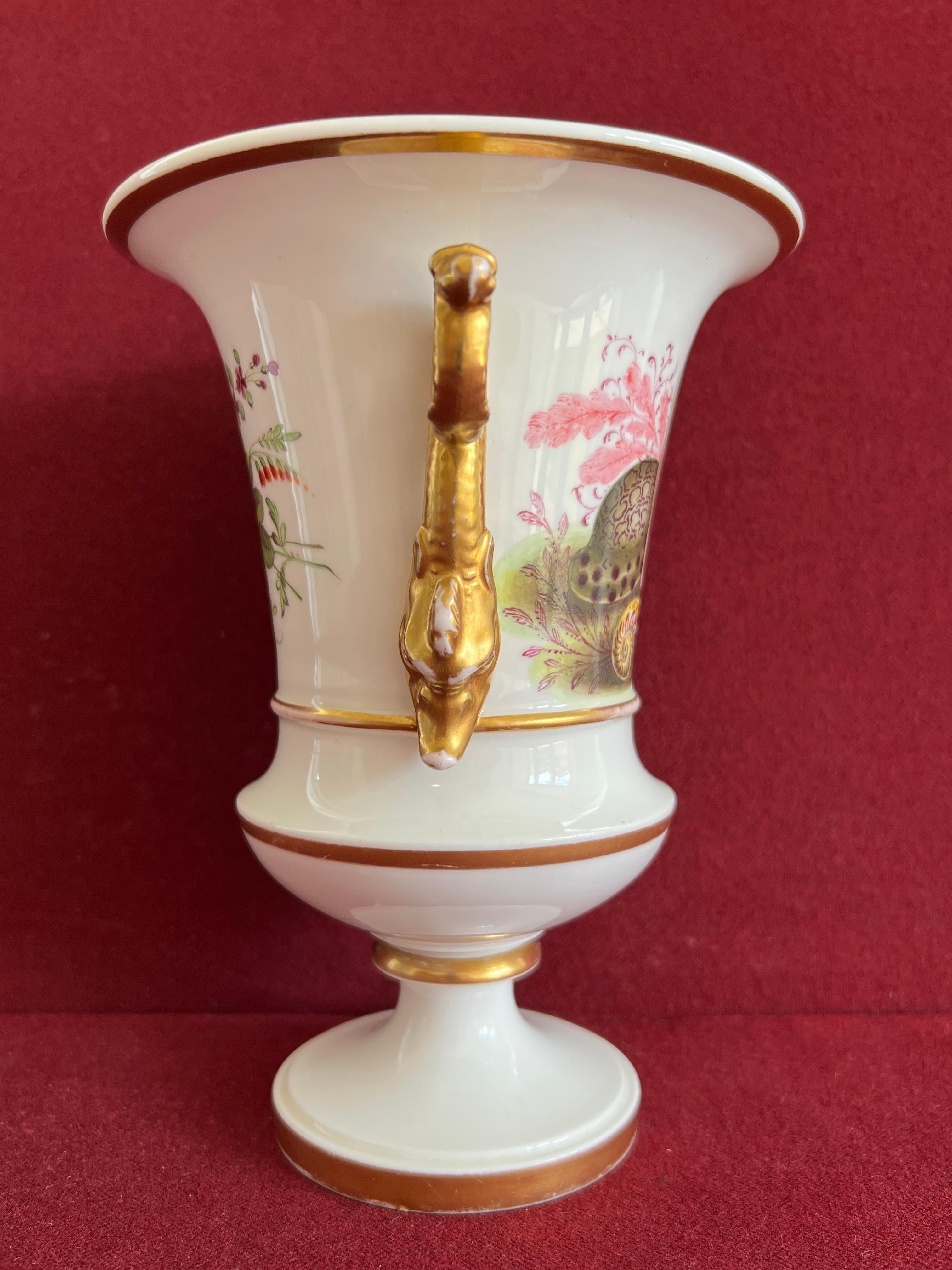 Hand-Painted Rare Spode Porcelain Shell Decorated Vase Pattern 3930 C.1824 For Sale