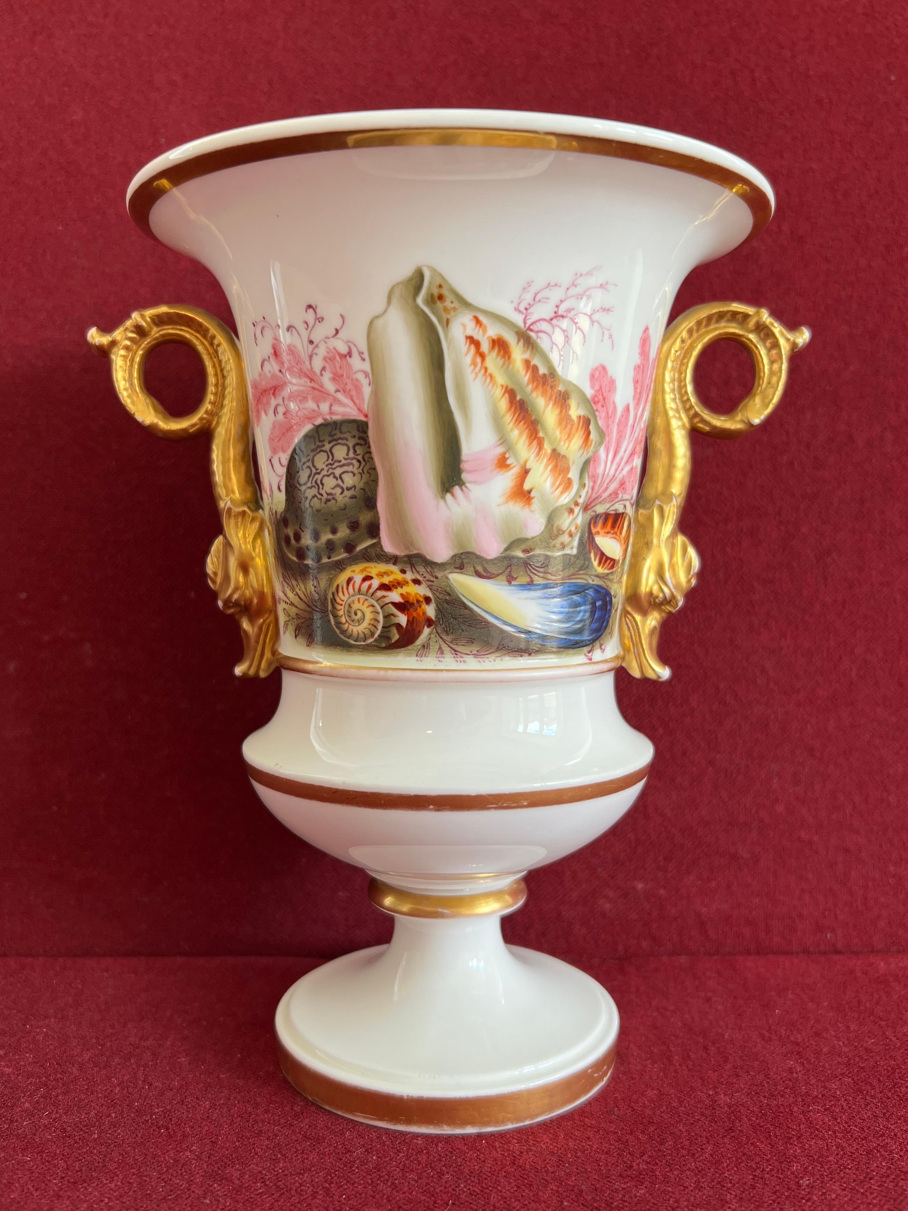 Peint à la main Rare vase Spode en porcelaine décoré de coquillages, motif 3930 C.1824 en vente