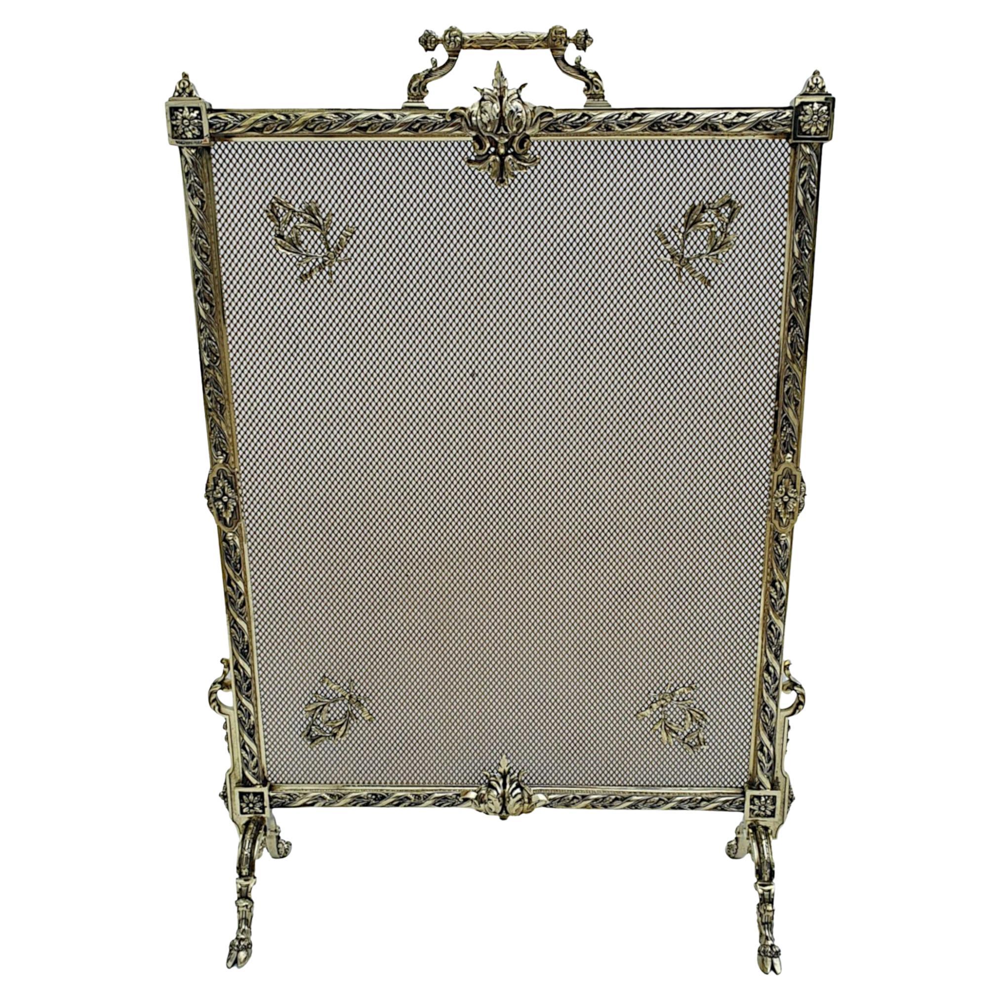 Large Glass And Brass Fire Screen at 1stDibs