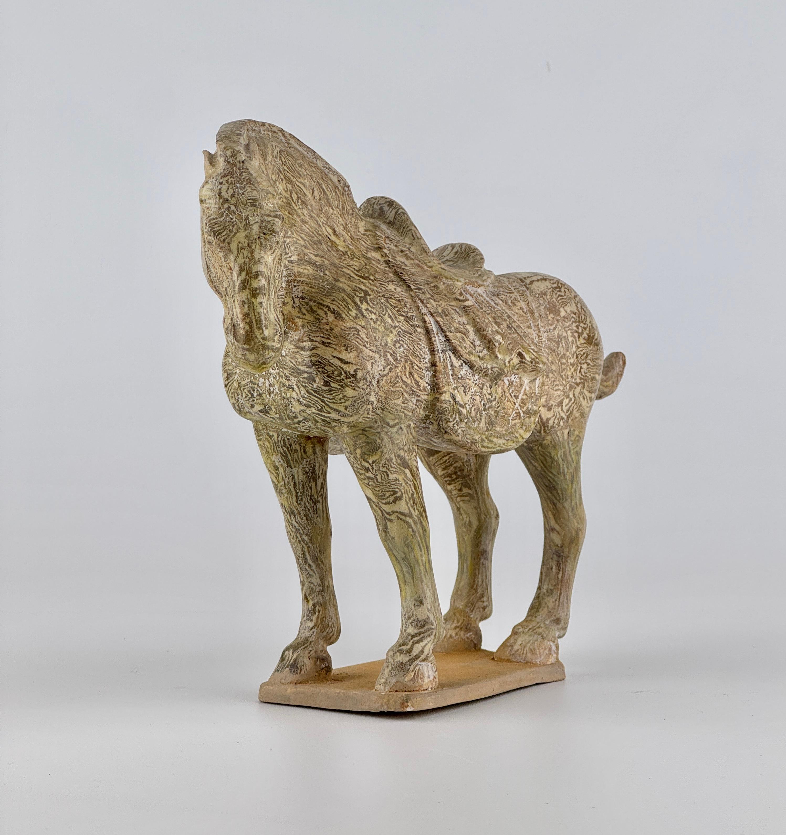 Le cheval en poterie, caractérisé par son corps équilibré, son cou arqué et sa tête baissée, est moulé en creux avec une base soigneusement finie, reflétant les figures funéraires de l'Asie de l'Est.

Sa surface est recouverte d'une technique de