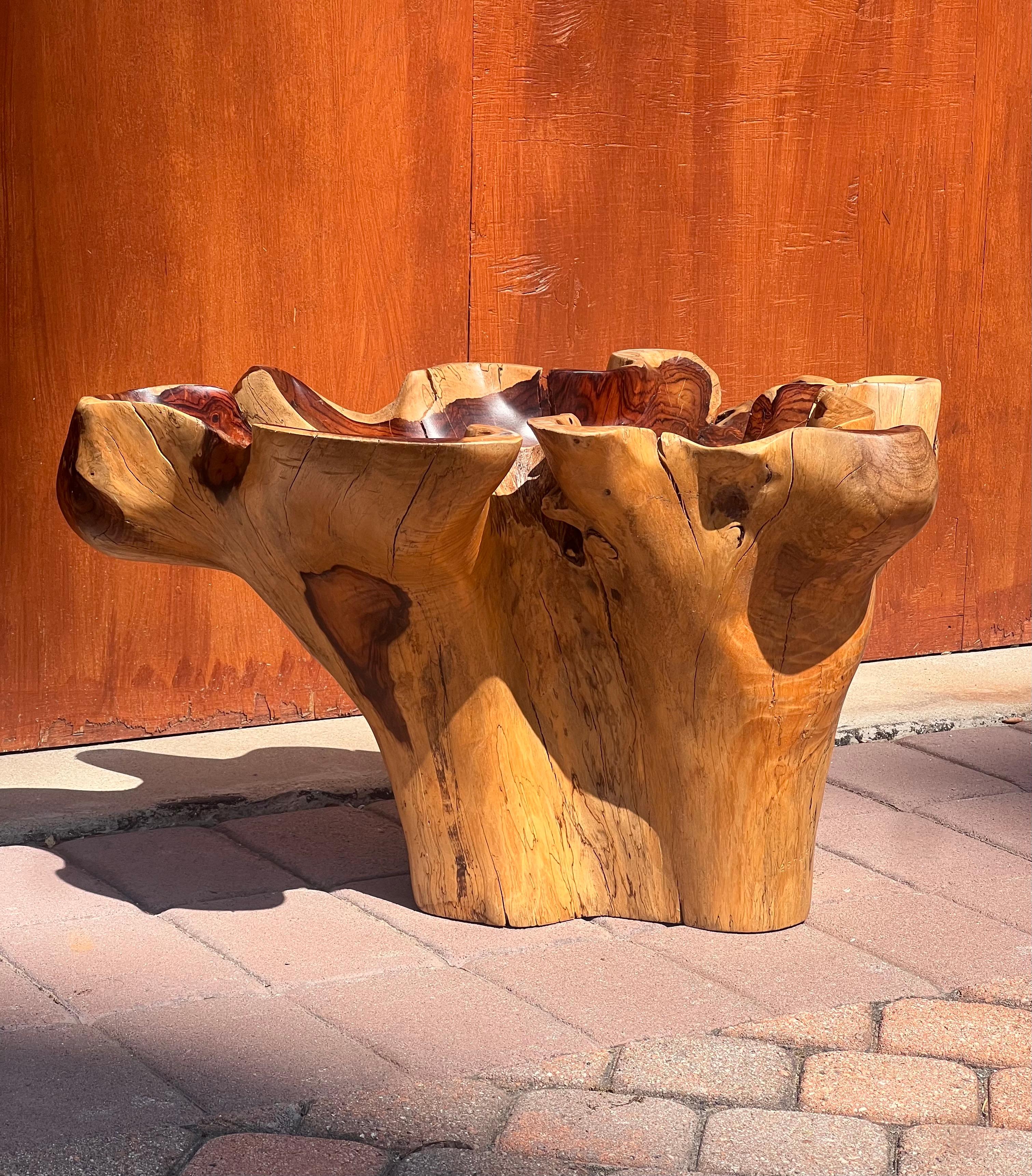 A raw root wood side table with oyster edge, 20th century For Sale 3