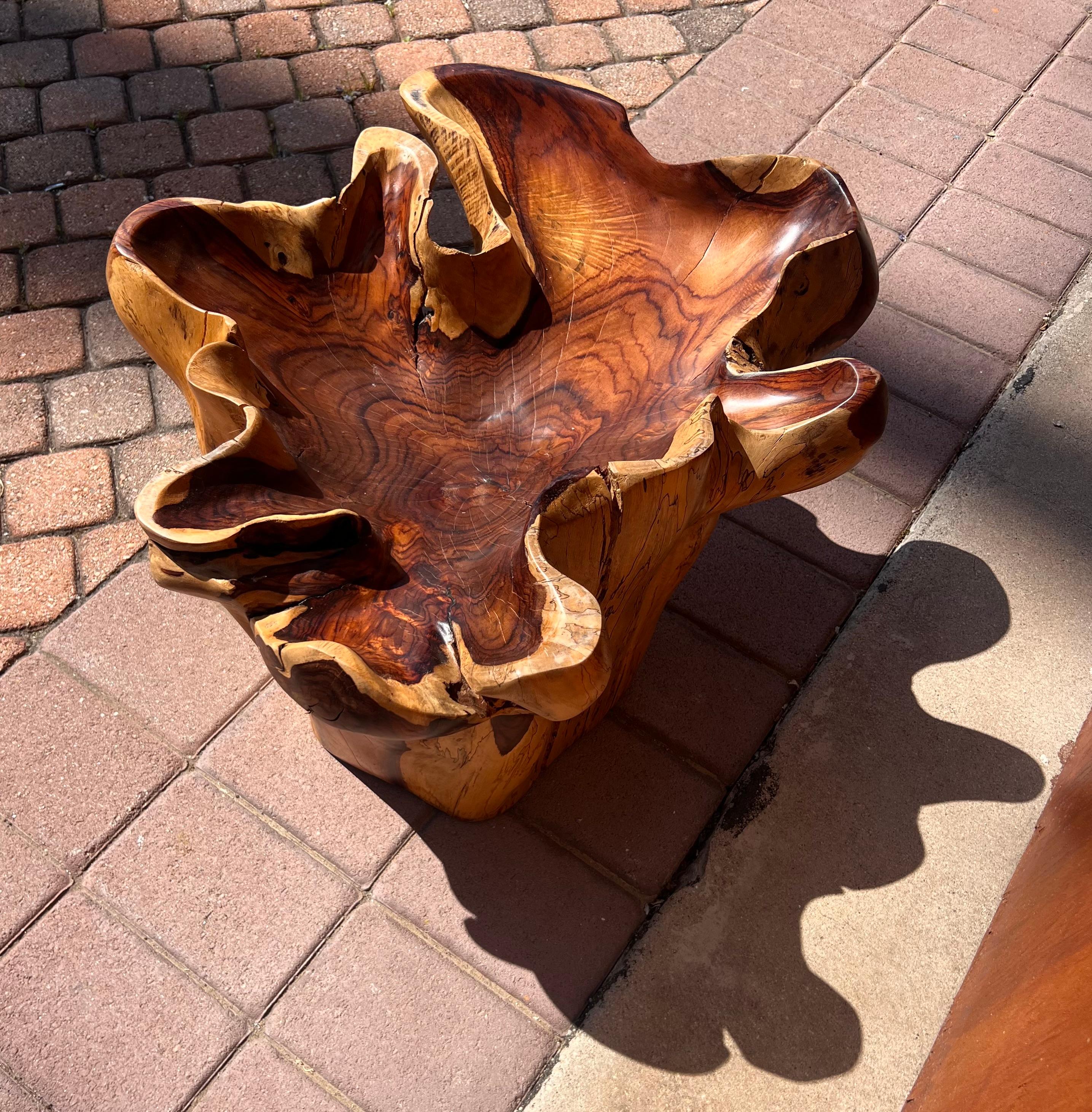 A raw root wood side table with oyster edge, 20th century For Sale 4