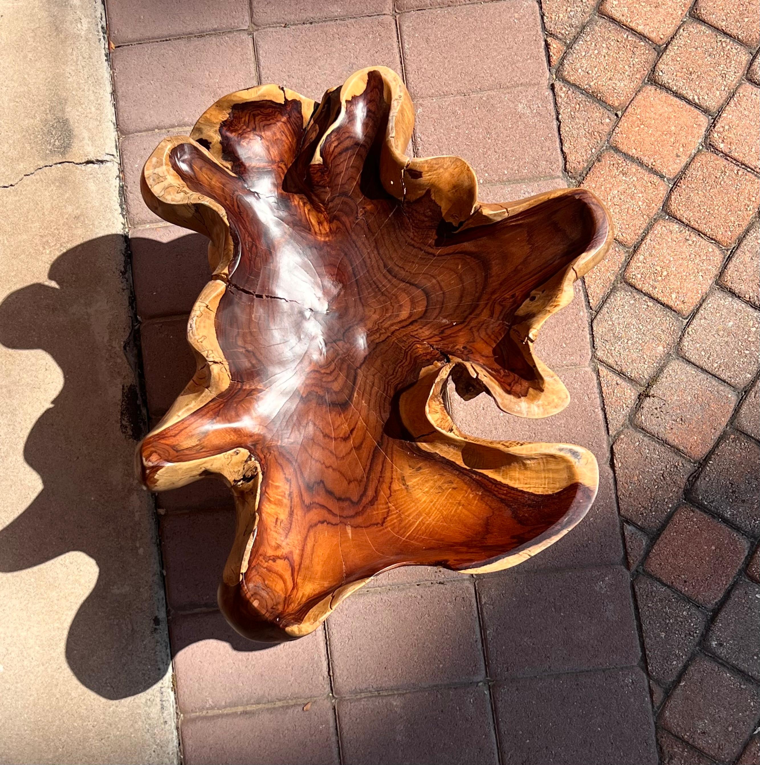 A raw root wood side table with oyster edge, 20th century For Sale 6