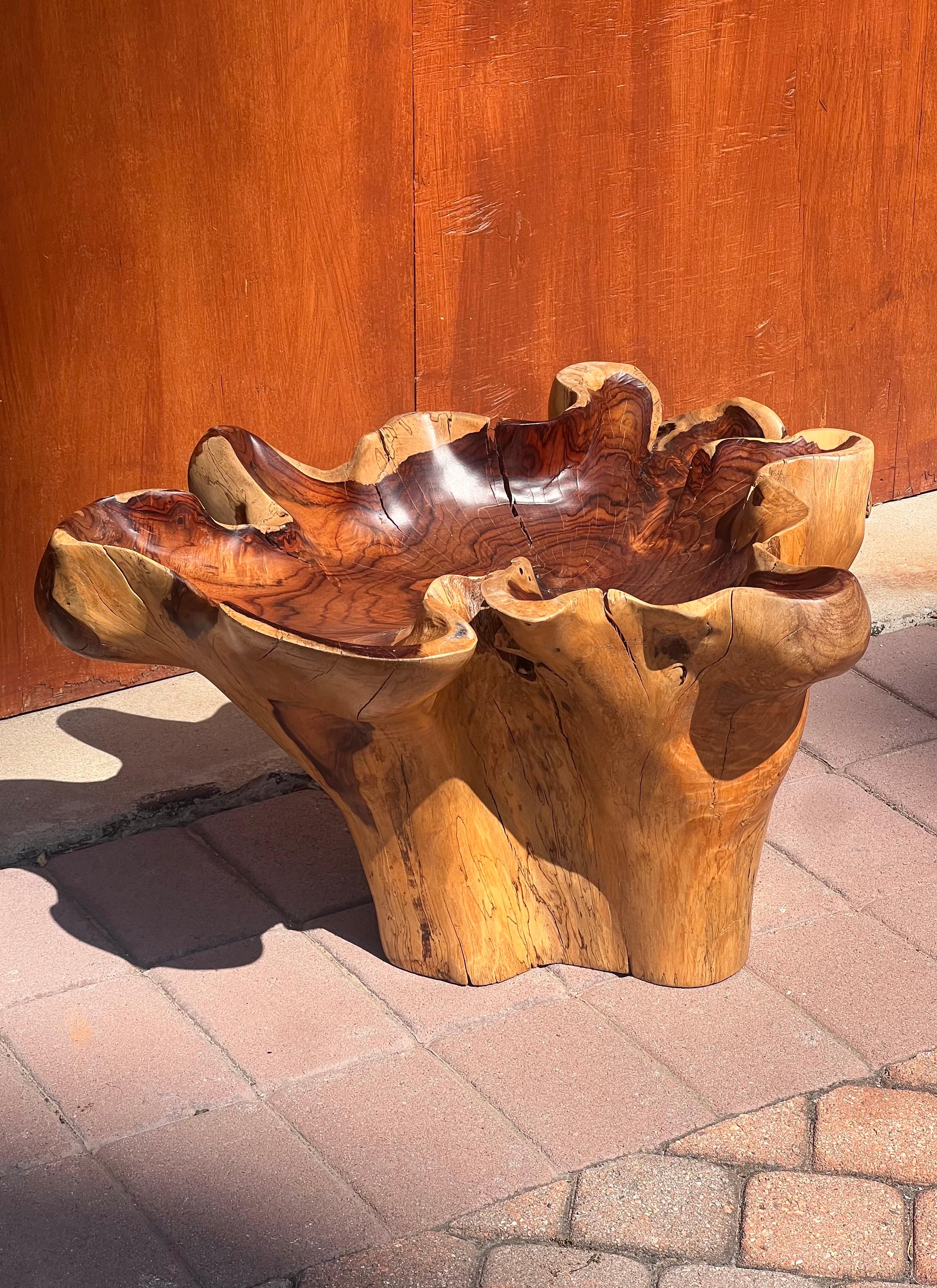 A raw root wood side table with oyster edge, 20th century For Sale 7
