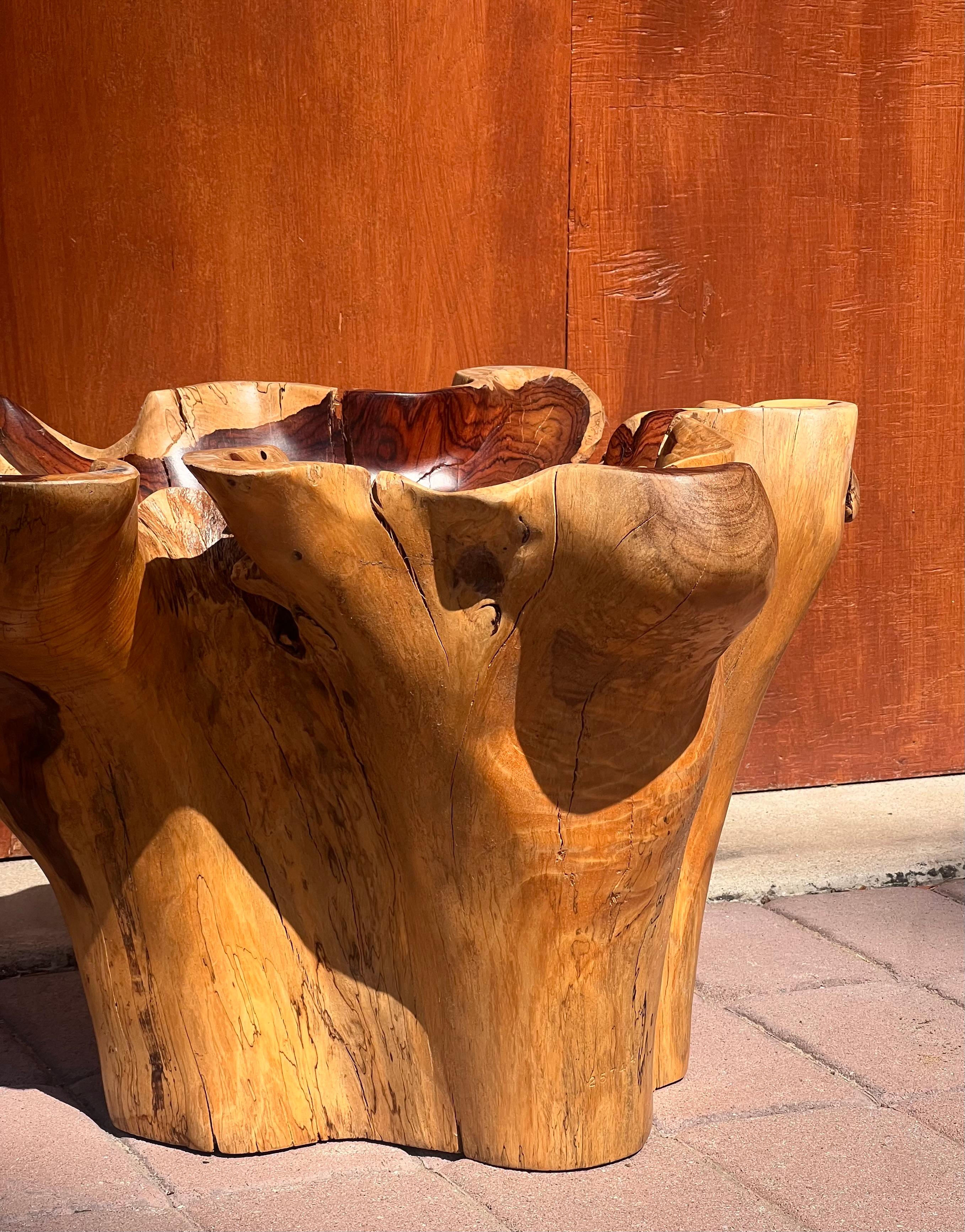 A raw root wood side table with oyster edge, 20th century For Sale 8