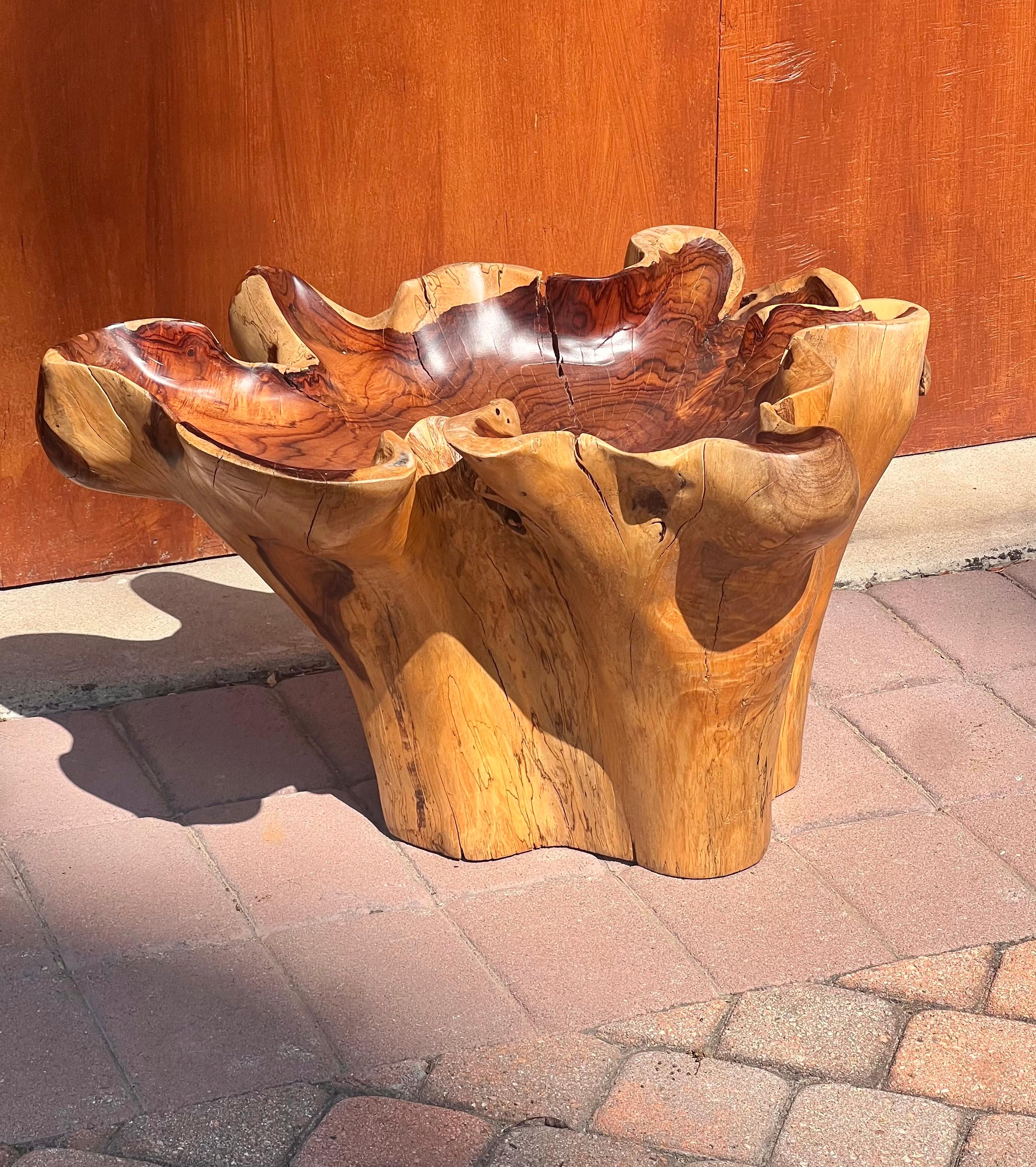 A raw root wood side table with oyster edge, 20th century For Sale 9