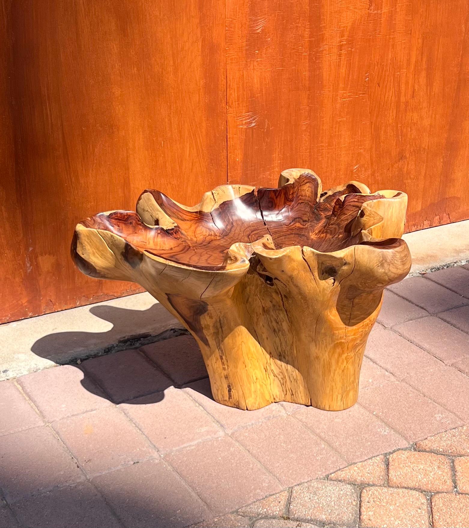 A raw root wood side table with oyster edge, 20th century For Sale 10
