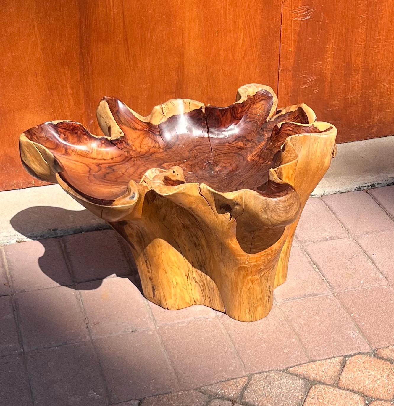A raw root wood side table with oyster edge, 20th century For Sale 11