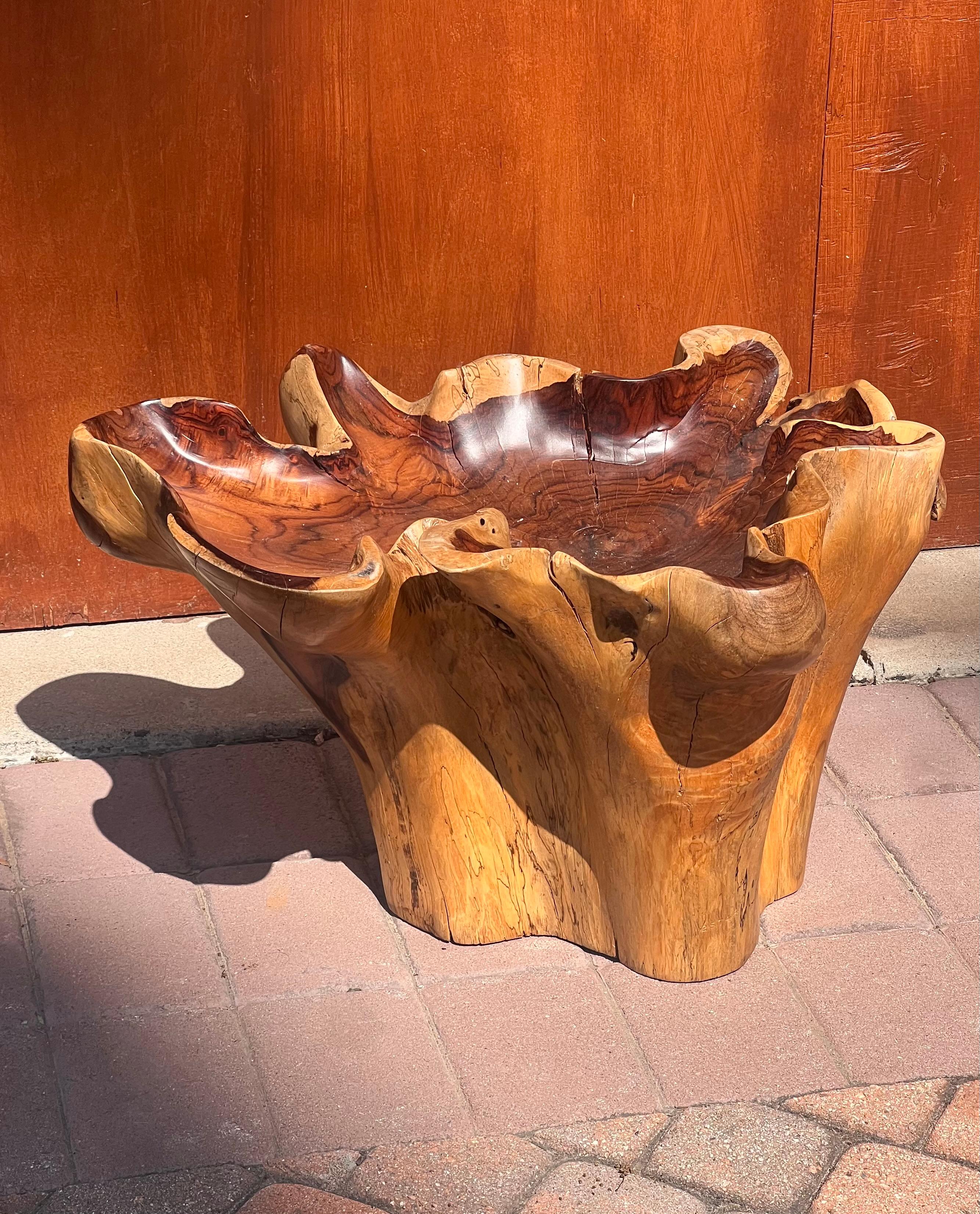 A very striking raw root live wood table with heavily scalloped “oyster” edge, probably 20th century. 
Beautiful grain and great condition. 