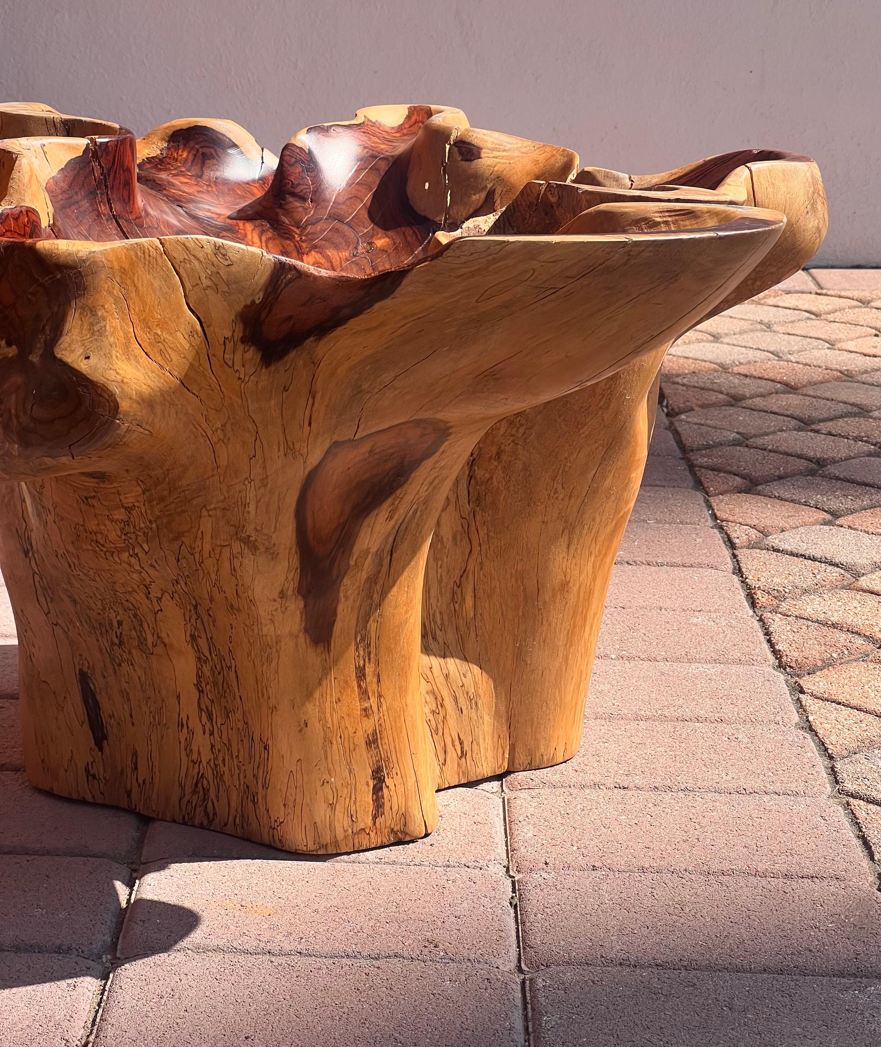 Organic Modern A raw root wood side table with oyster edge, 20th century For Sale
