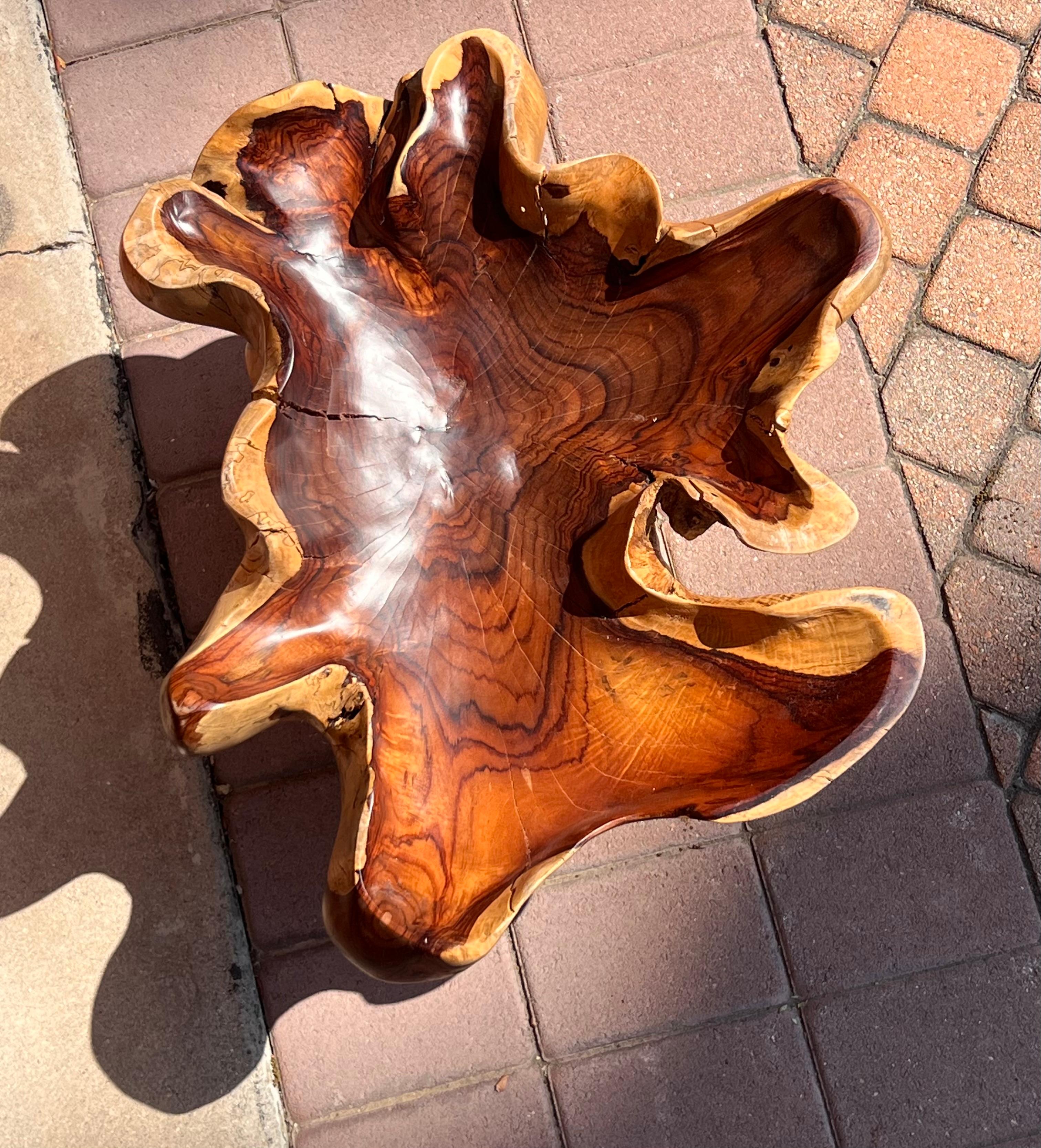 Unknown A raw root wood side table with oyster edge, 20th century For Sale