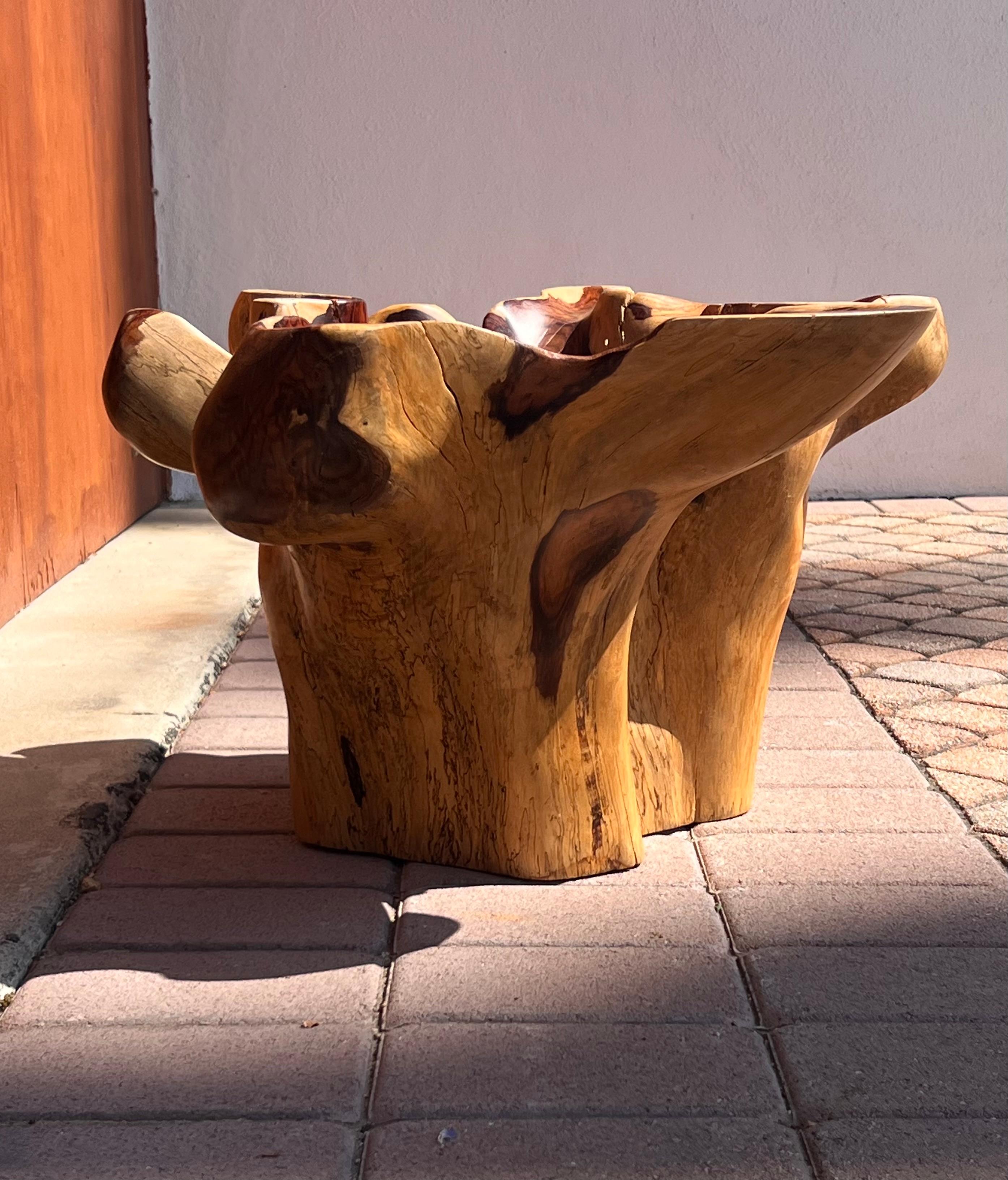 A raw root wood side table with oyster edge, 20th century In Good Condition For Sale In View Park, CA