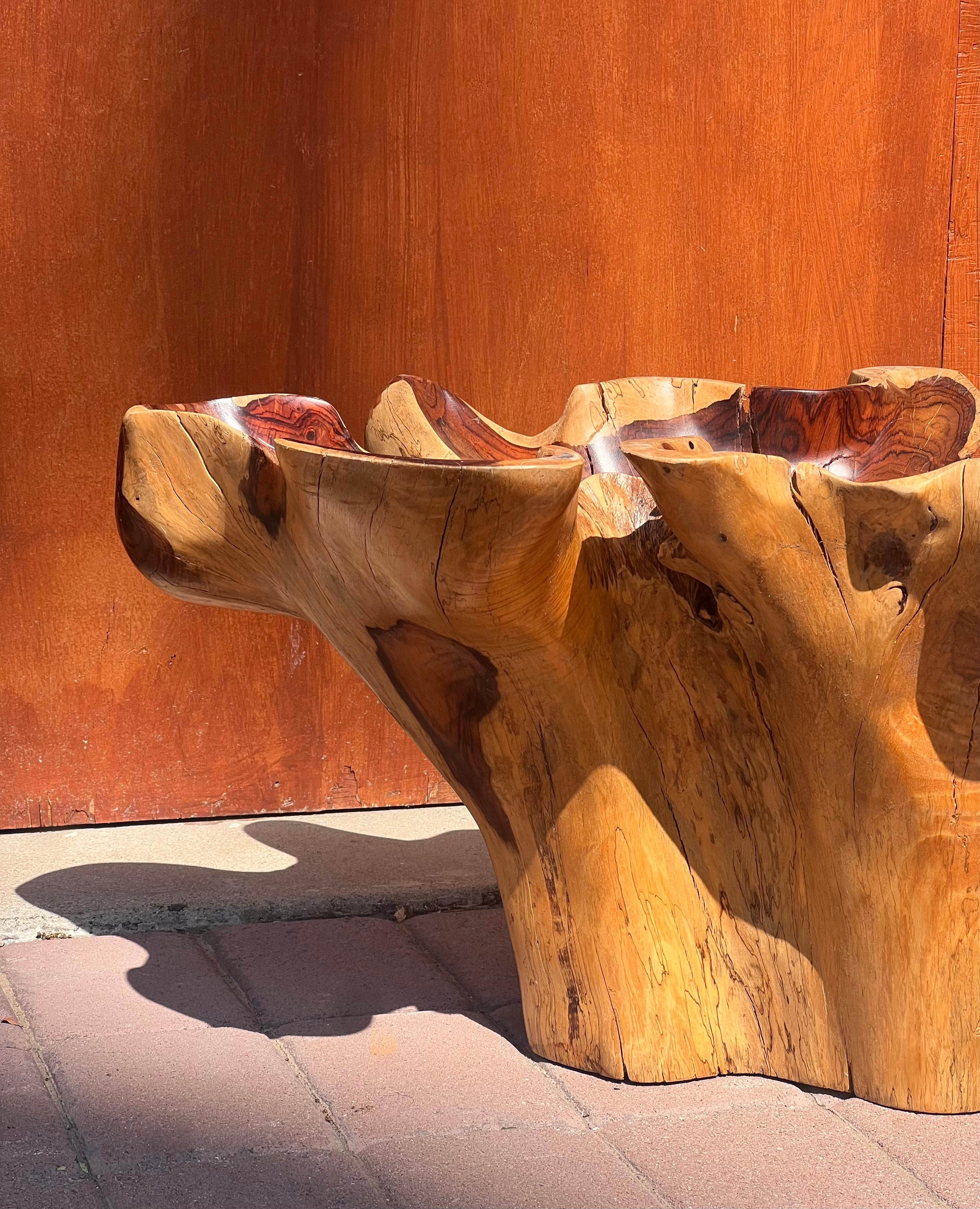 20th Century A raw root wood side table with oyster edge, 20th century For Sale