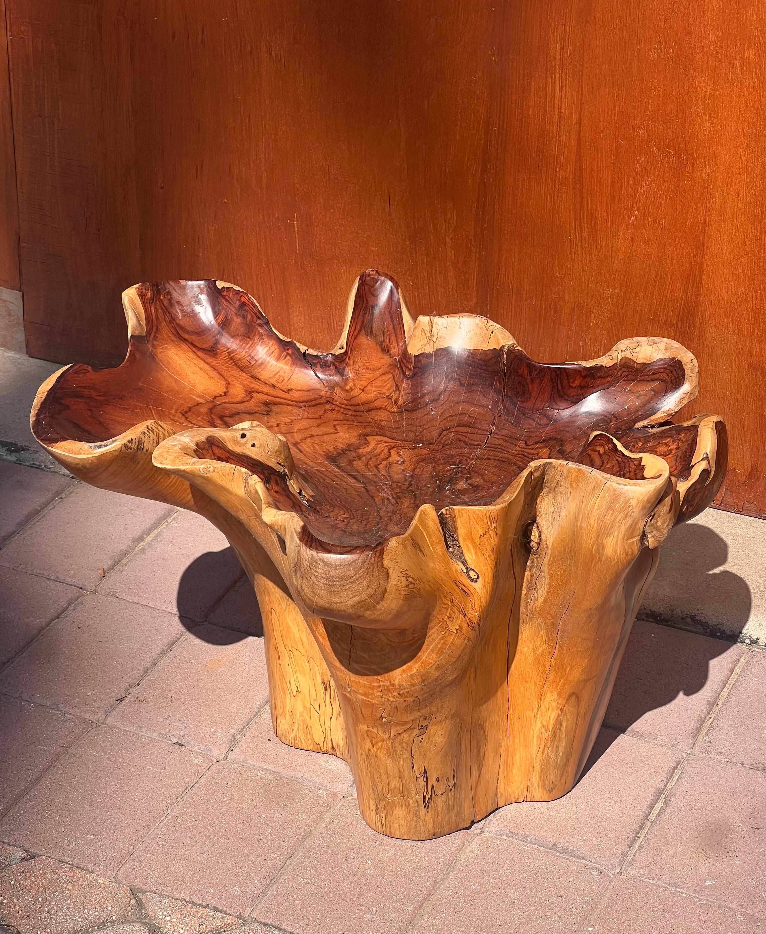 A raw root wood side table with oyster edge, 20th century For Sale 1