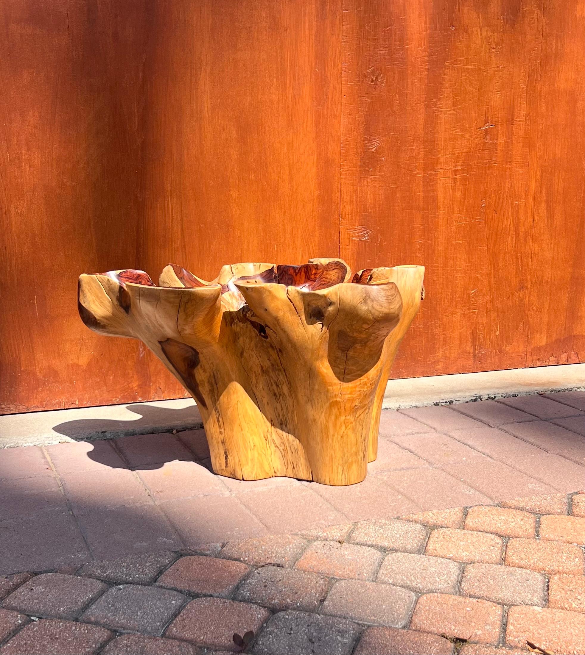 A raw root wood side table with oyster edge, 20th century For Sale 2