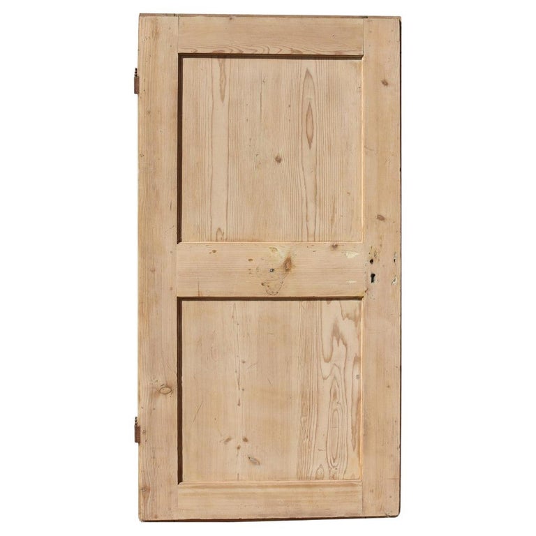 Reclaimed 19th Century Pine Internal Door For Sale at 1stDibs