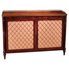 Regency Period Mahogany Two Door Cabinet